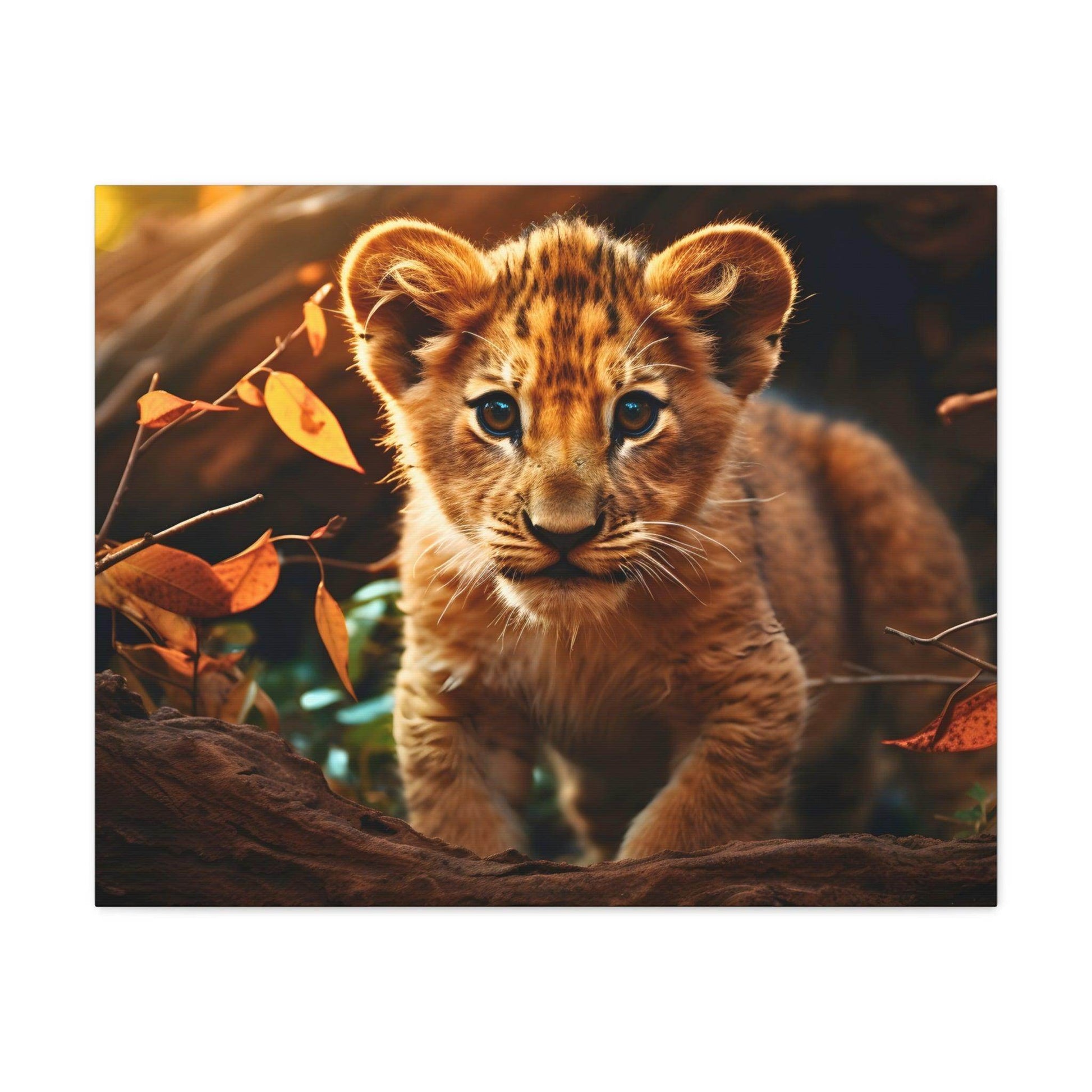 Baby Lion Cub Print Animal Nature Art Safari Nursery Canvas Gallery Wraps Baby Lion Print Large Canvas Art Animal Wall Art Lover Gift - Giftsmojo