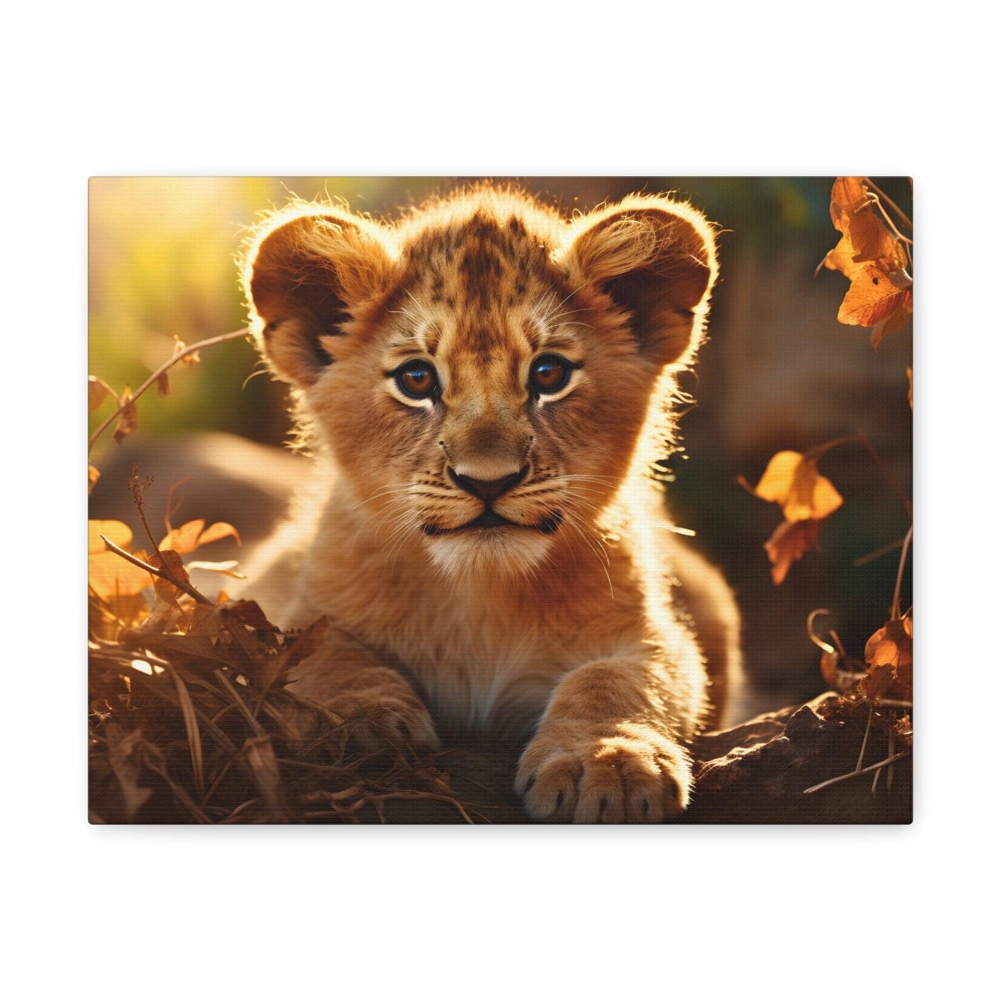 Baby Lion Cub Print Animal Nature Art Safari Nursery Canvas Gallery Wraps Baby Lion Print Large Canvas Art Animal Wall Art Lover Gift