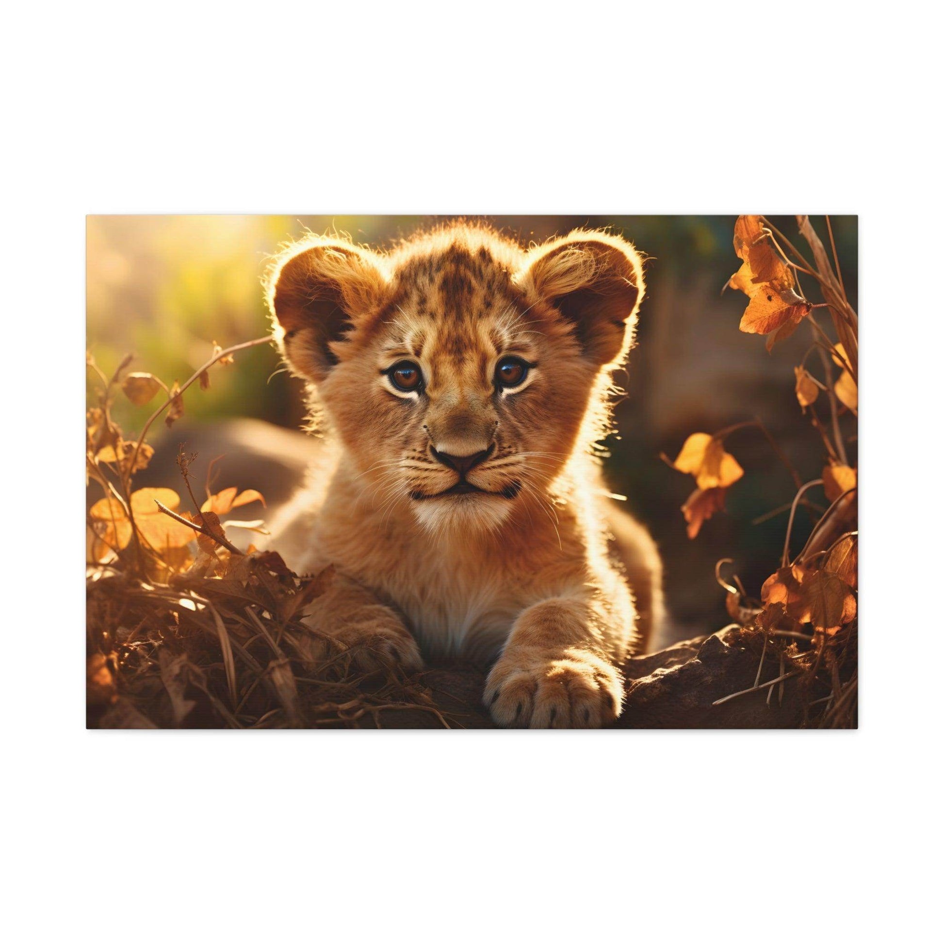 Baby Lion Cub Print Animal Nature Art Safari Nursery Canvas Gallery Wraps Baby Lion Print Large Canvas Art Animal Wall Art Lover Gift - Giftsmojo