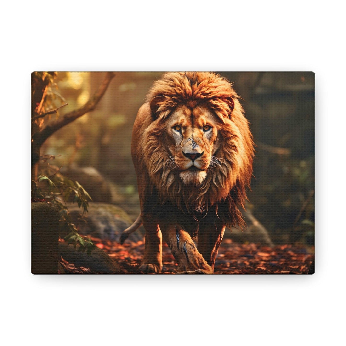 Wounded Lion In Nature Art Canvas Gallery Wraps Lion Print Large Canvas Art Animal Wall Art minimalist Wall Art Lover Gift
