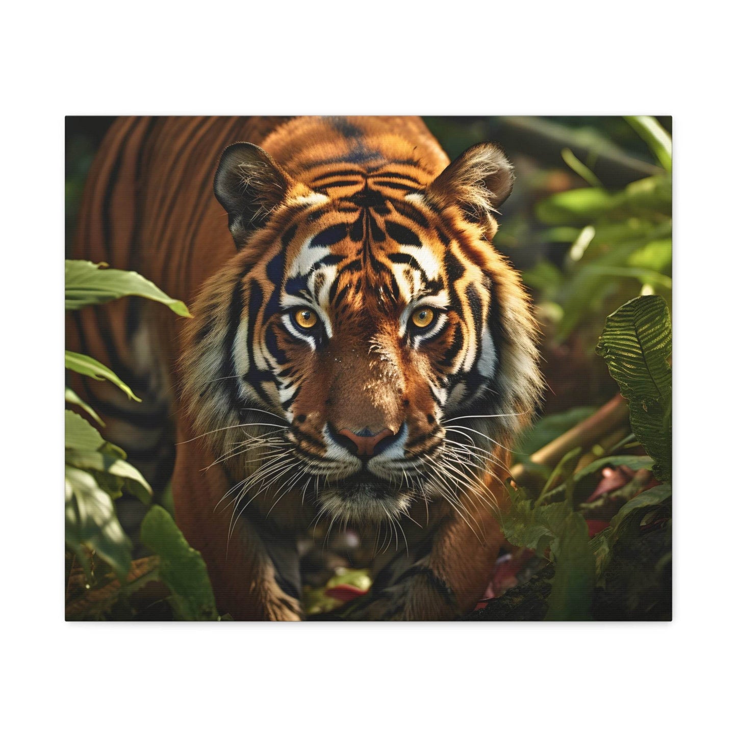Tiger In Nature Art Canvas Gallery Wraps Tiger Print Large Canvas Art Animal Wall Art minimalist Wall Art Lover Gift - Giftsmojo