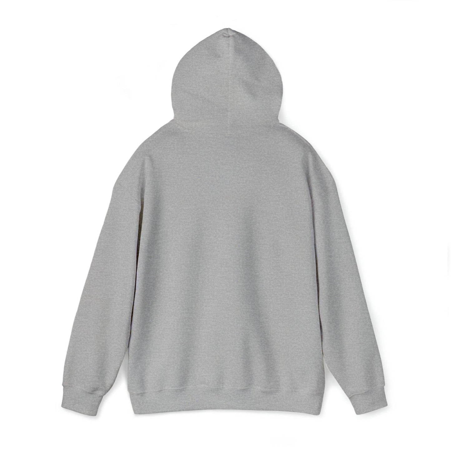Let's Go Jesus Hooded Sweatshirt Funny Christian Shirt Christian Gift Trendy Christian Sweatshirt Religious Sweatshirt Jesus Hoodie Faith Shirt - Giftsmojo