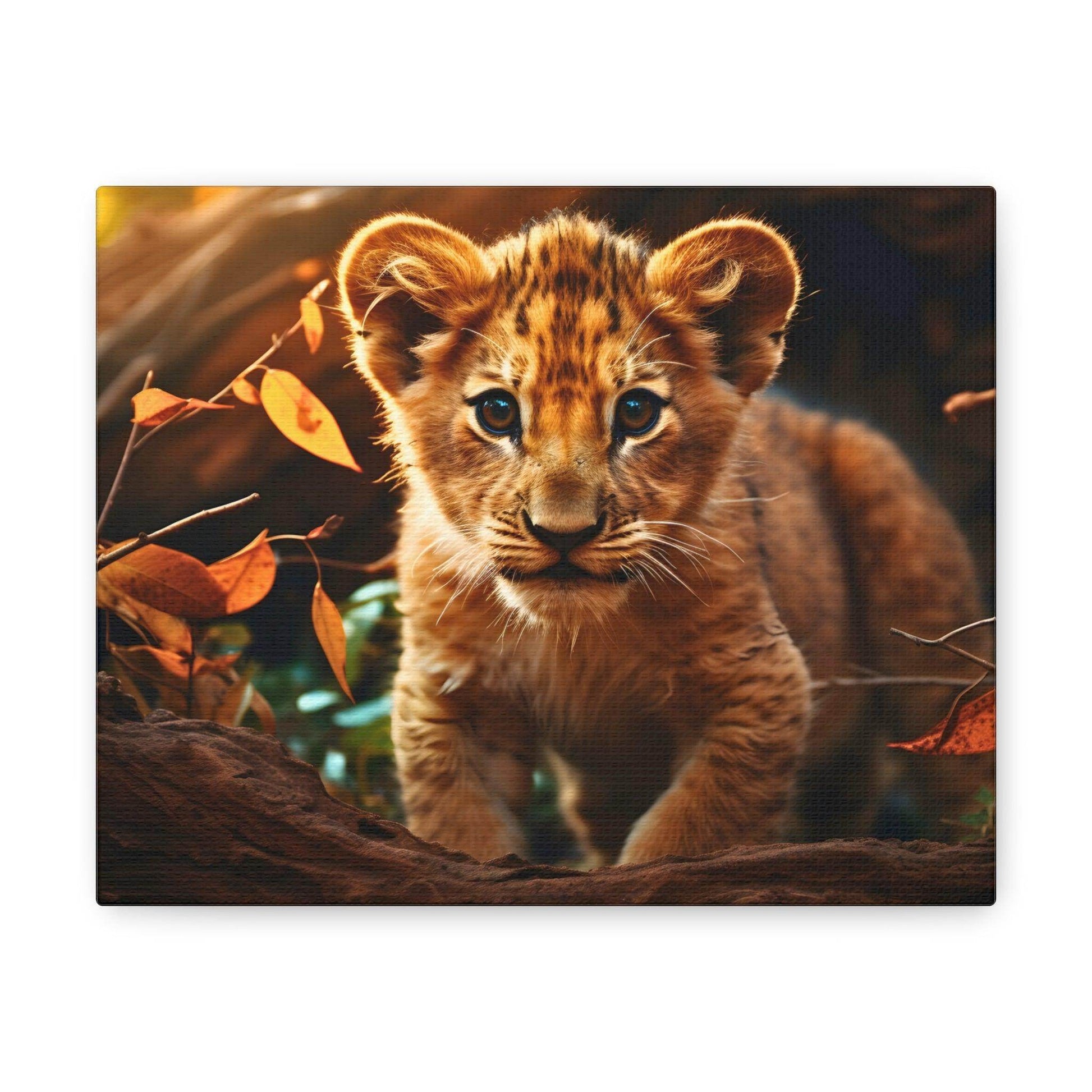 Baby Lion Cub Print Animal Nature Art Safari Nursery Canvas Gallery Wraps Baby Lion Print Large Canvas Art Animal Wall Art Lover Gift - Giftsmojo