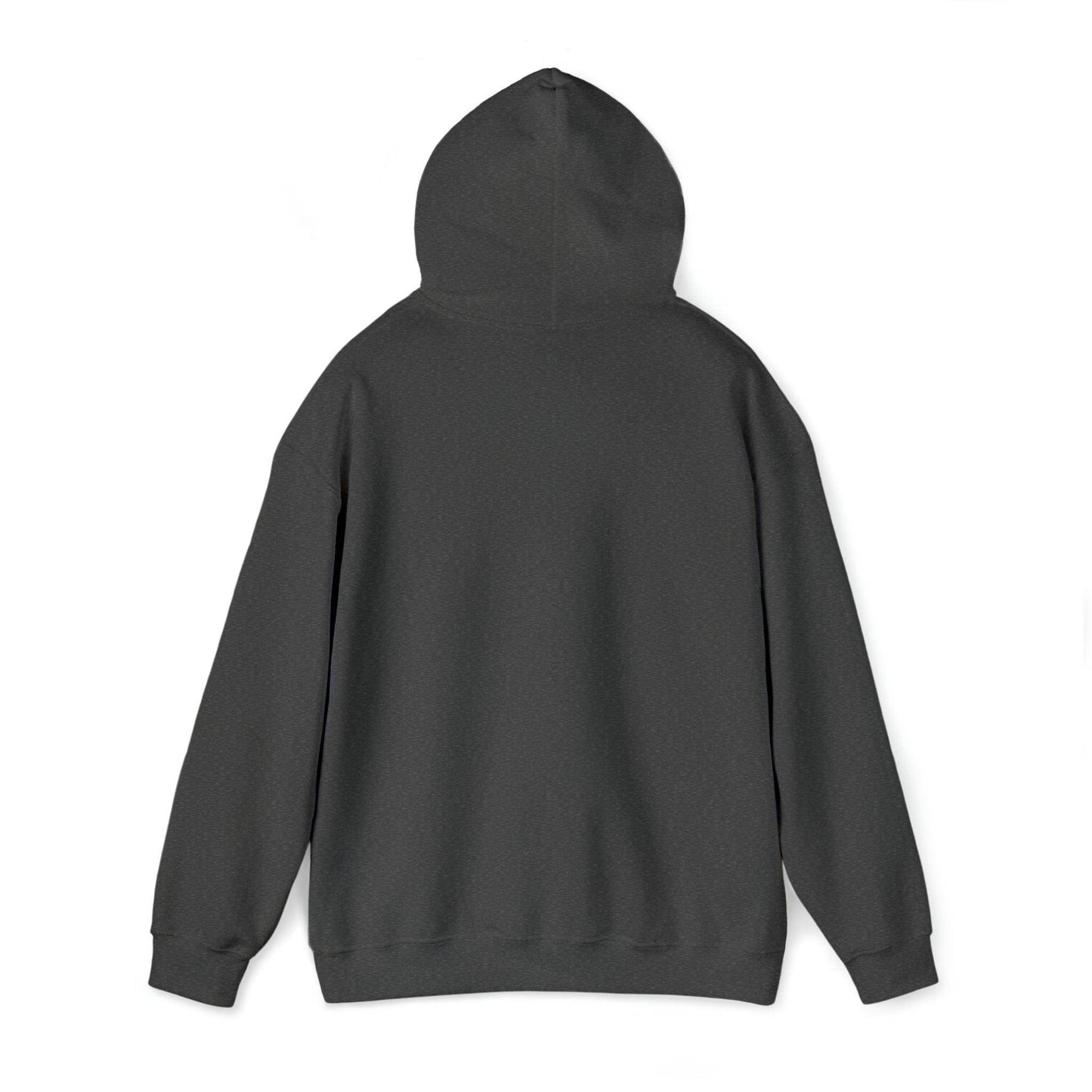 Let's Go Jesus Hooded Sweatshirt Funny Christian Shirt Christian Gift Trendy Christian Sweatshirt Religious Sweatshirt Jesus Hoodie Faith Shirt - Giftsmojo