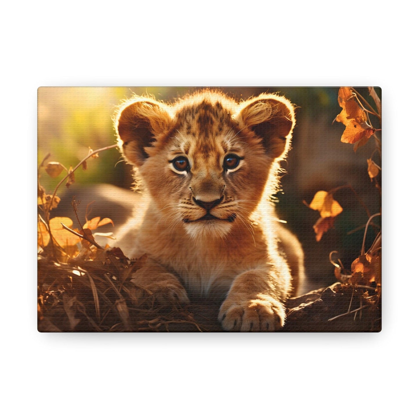 Baby Lion Cub Print Animal Nature Art Safari Nursery Canvas Gallery Wraps Baby Lion Print Large Canvas Art Animal Wall Art Lover Gift