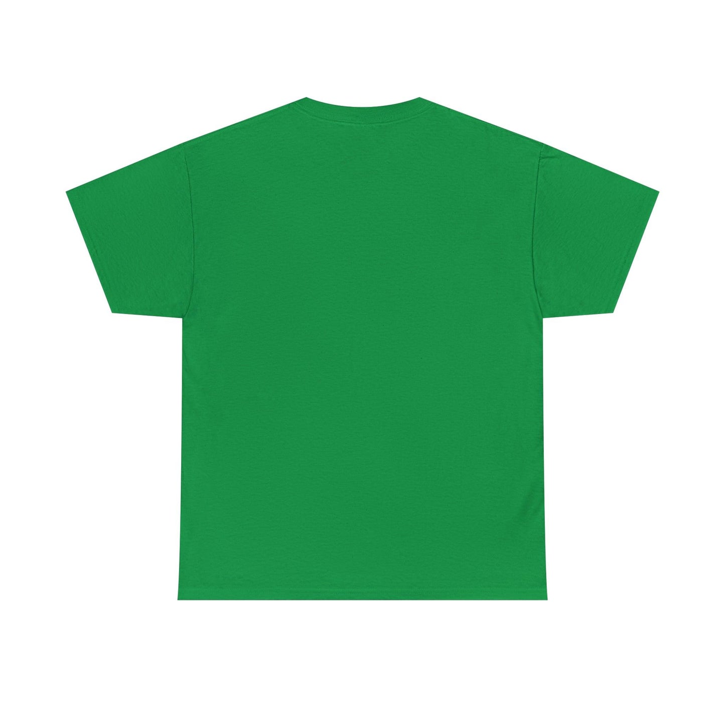 I bring Joy to the World at Christmas Shirt, Christmas Tee Christmas outfit, Christmas gifts