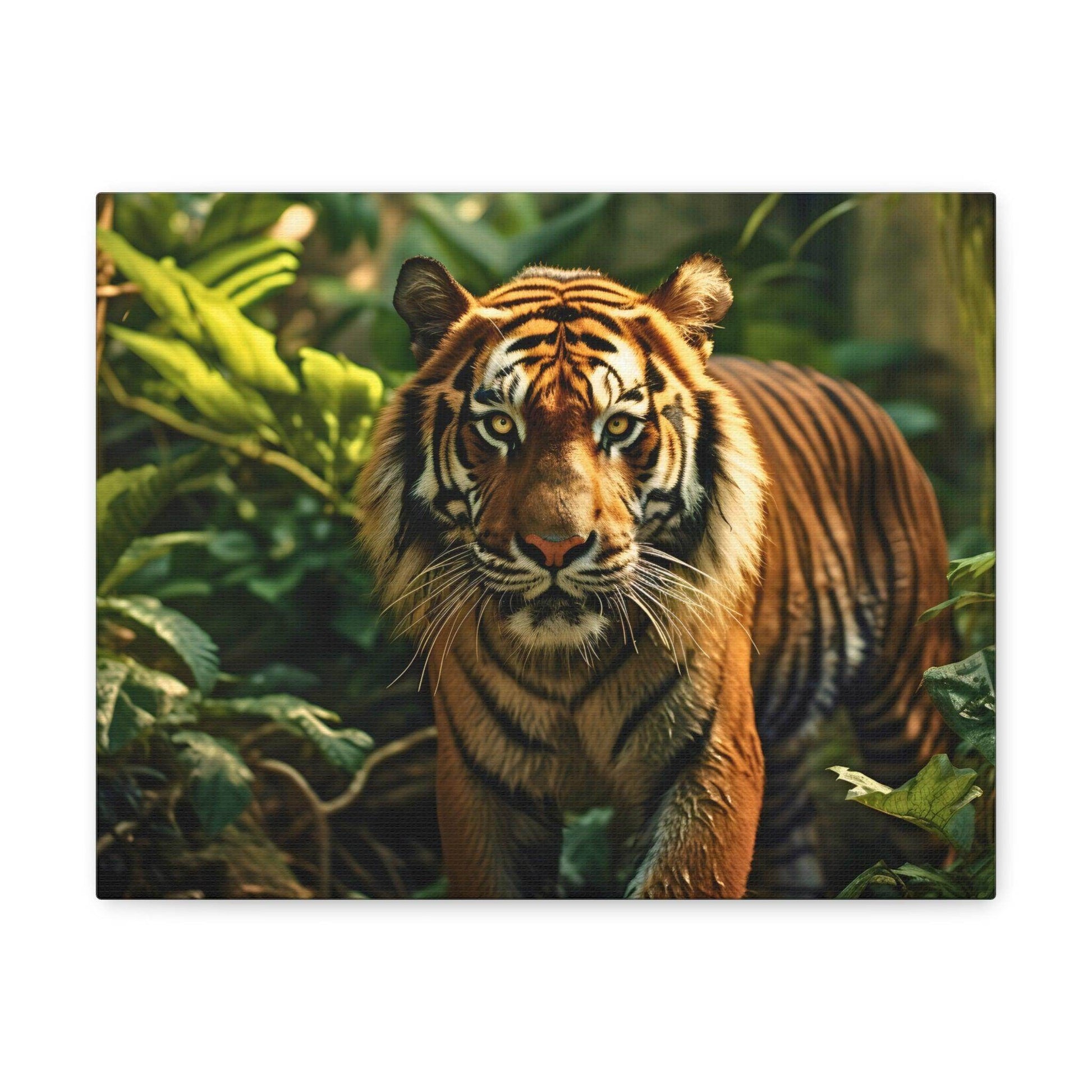 Tiger In Nature Art Canvas Gallery Wraps Tiger Print Large Canvas Art Animal Wall Art minimalist Wall Art Lover Gift - Giftsmojo