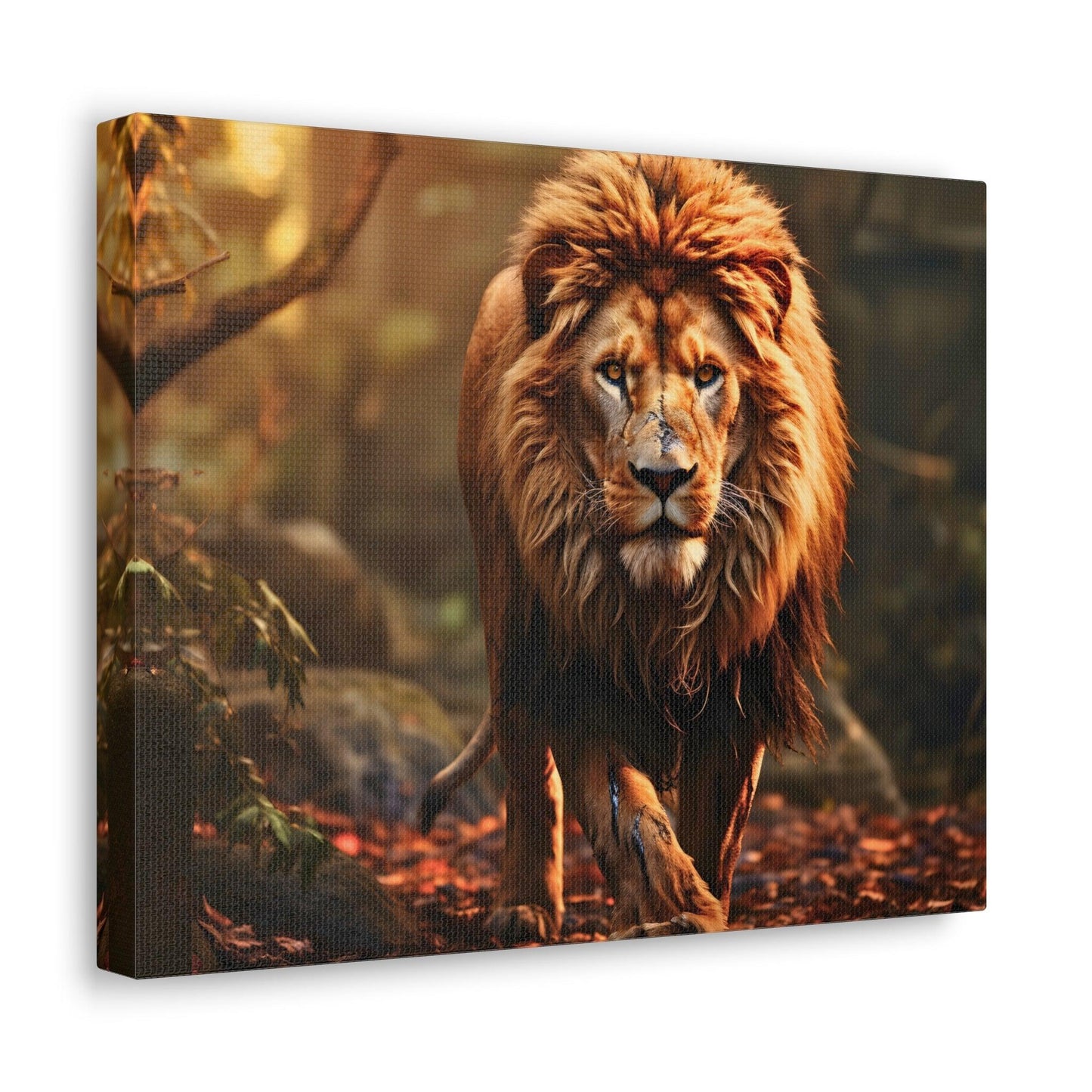 Wounded Lion In Nature Art Canvas Gallery Wraps Lion Print Large Canvas Art Animal Wall Art minimalist Wall Art Lover Gift