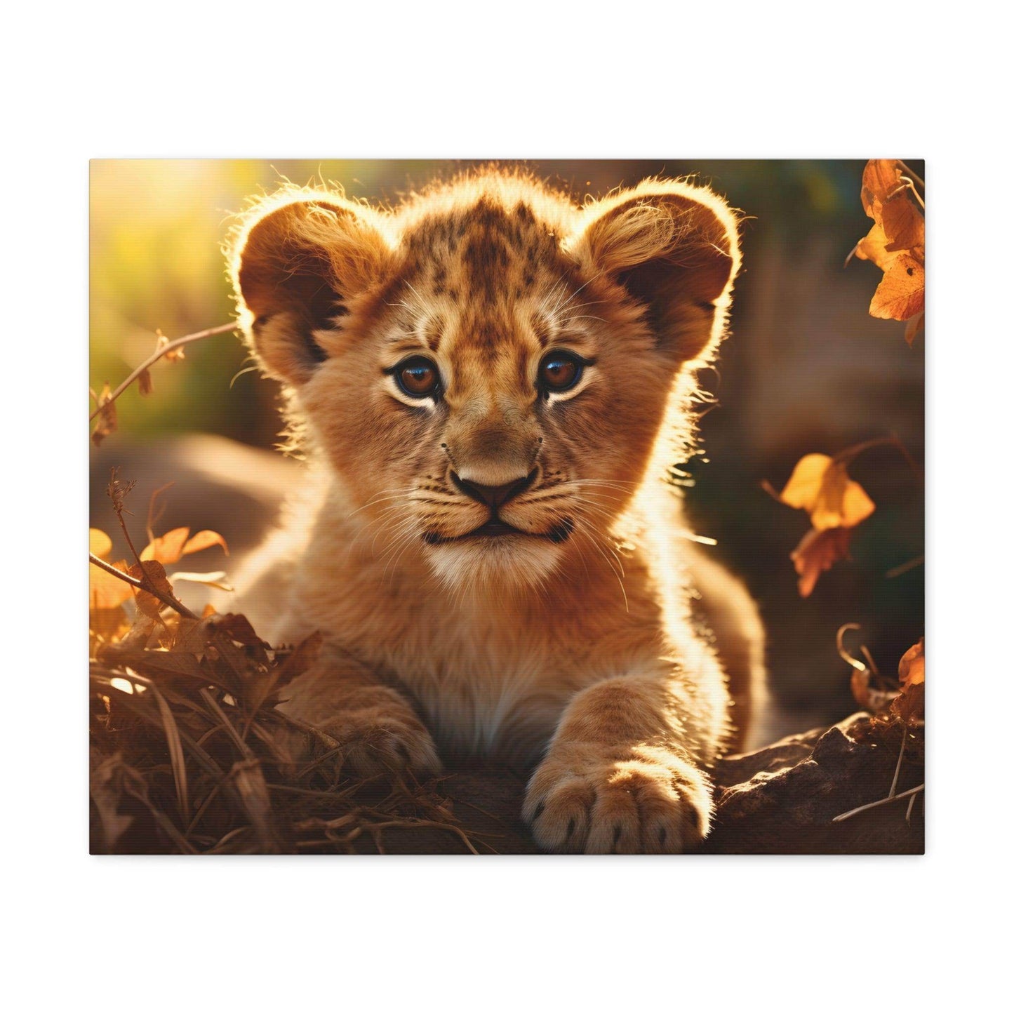 Baby Lion Cub Print Animal Nature Art Safari Nursery Canvas Gallery Wraps Baby Lion Print Large Canvas Art Animal Wall Art Lover Gift - Giftsmojo