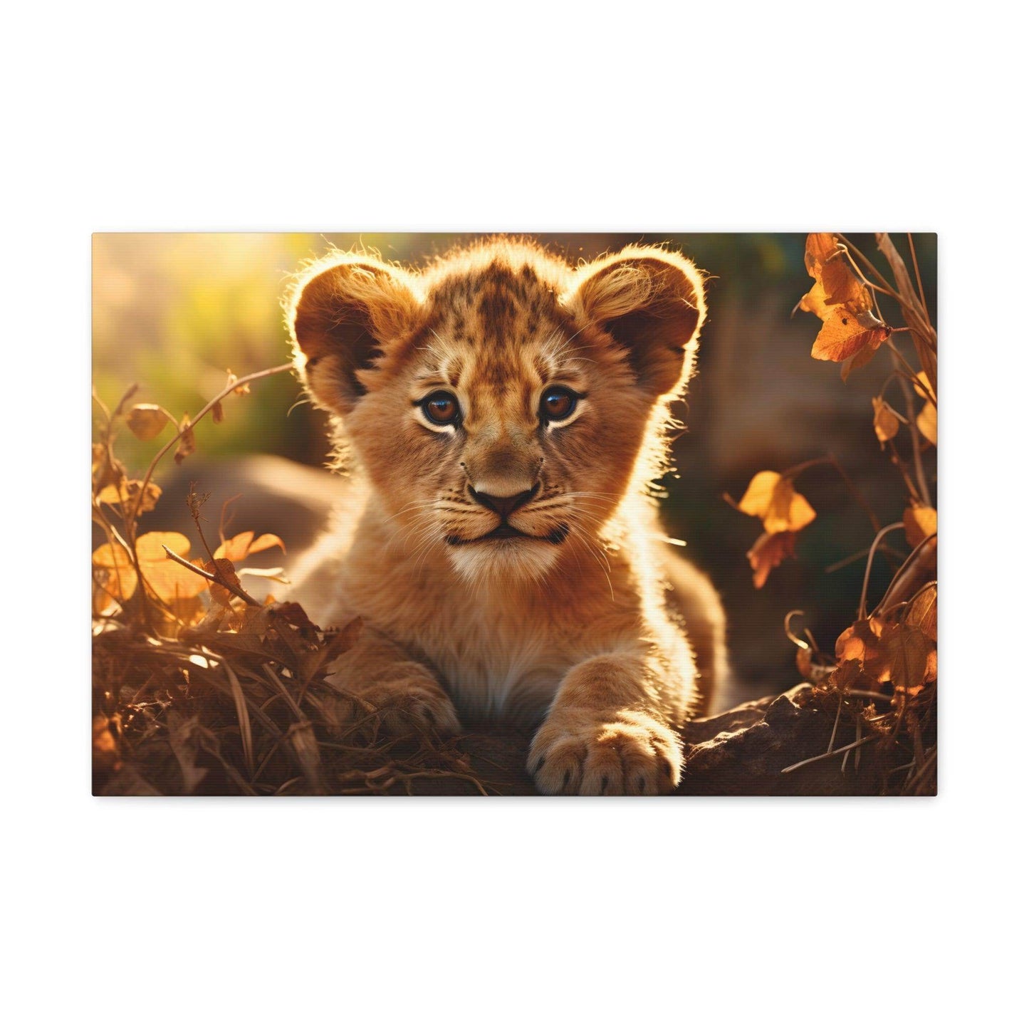 Baby Lion Cub Print Animal Nature Art Safari Nursery Canvas Gallery Wraps Baby Lion Print Large Canvas Art Animal Wall Art Lover Gift - Giftsmojo