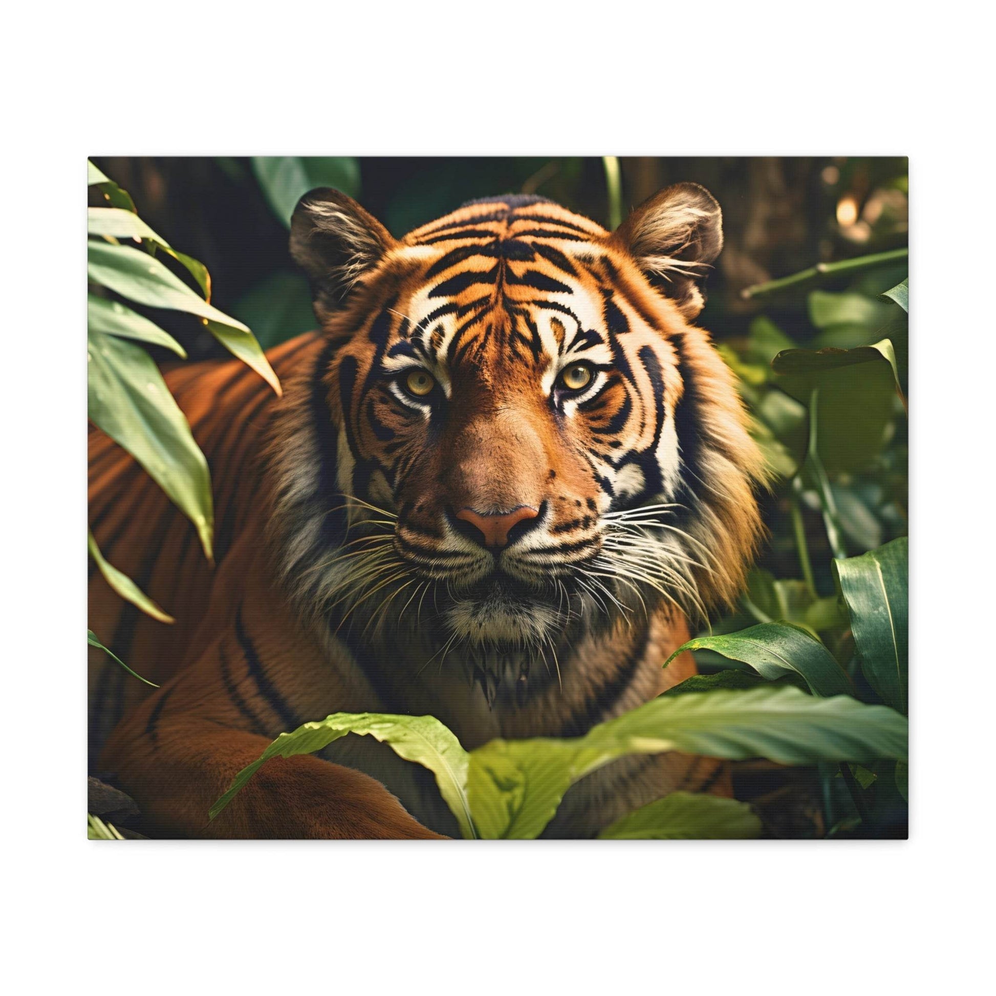 Tiger In Nature Art Canvas Gallery Wraps Tiger Print Large Canvas Art Animal Wall Art minimalist Wall Art Lover Gift - Giftsmojo