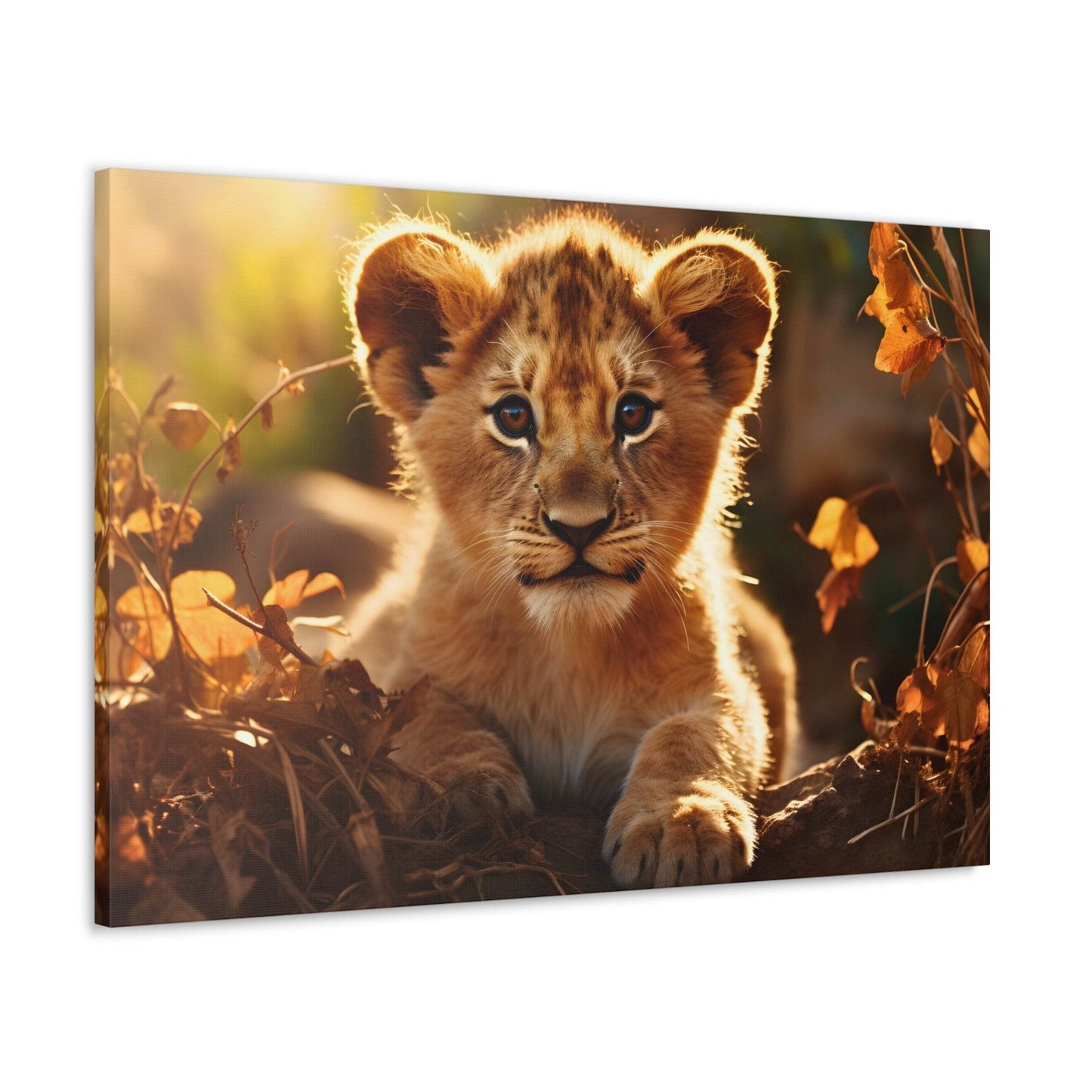 Baby Lion Cub Print Animal Nature Art Safari Nursery Canvas Gallery Wraps Baby Lion Print Large Canvas Art Animal Wall Art Lover Gift - Giftsmojo
