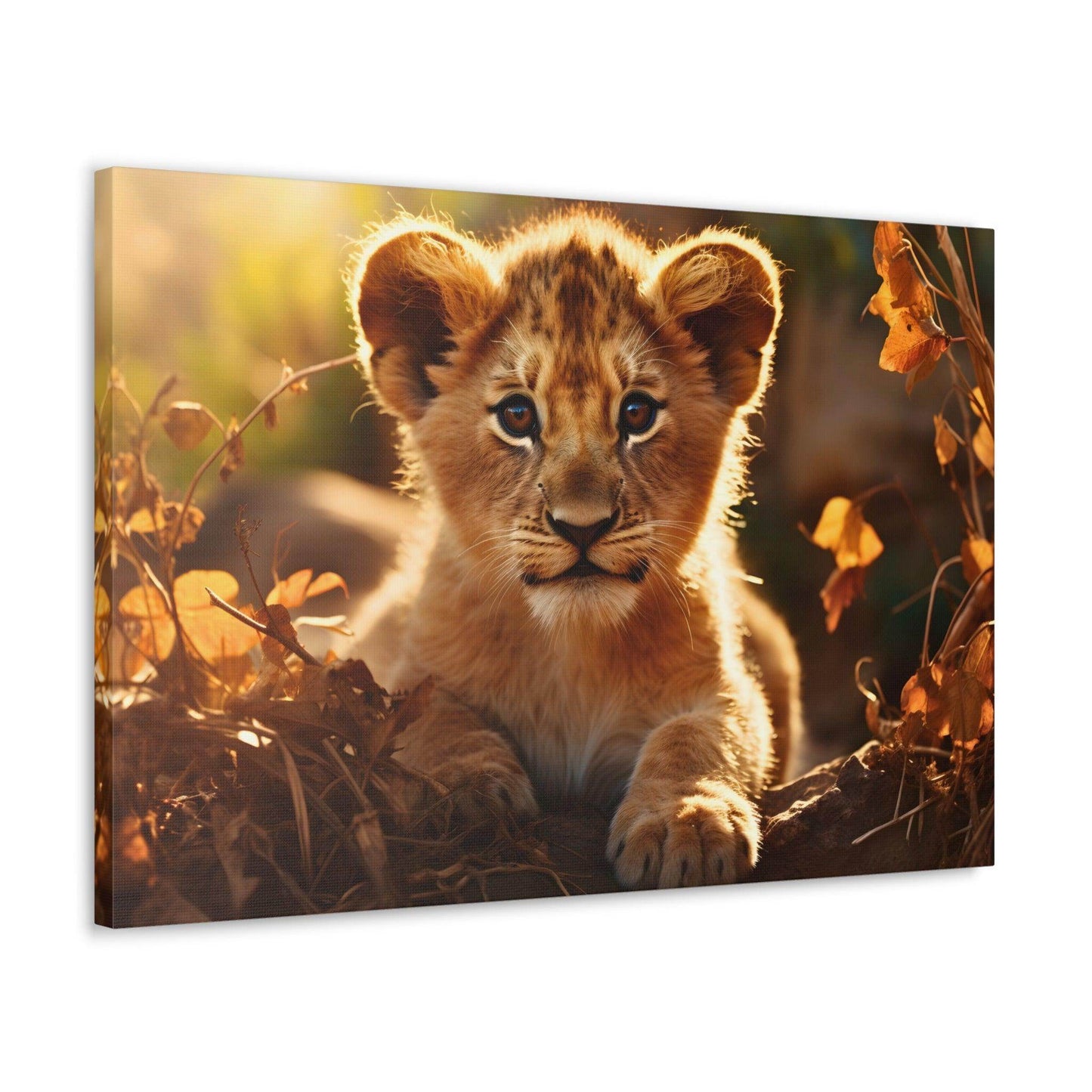 Baby Lion Cub Print Animal Nature Art Safari Nursery Canvas Gallery Wraps Baby Lion Print Large Canvas Art Animal Wall Art Lover Gift - Giftsmojo