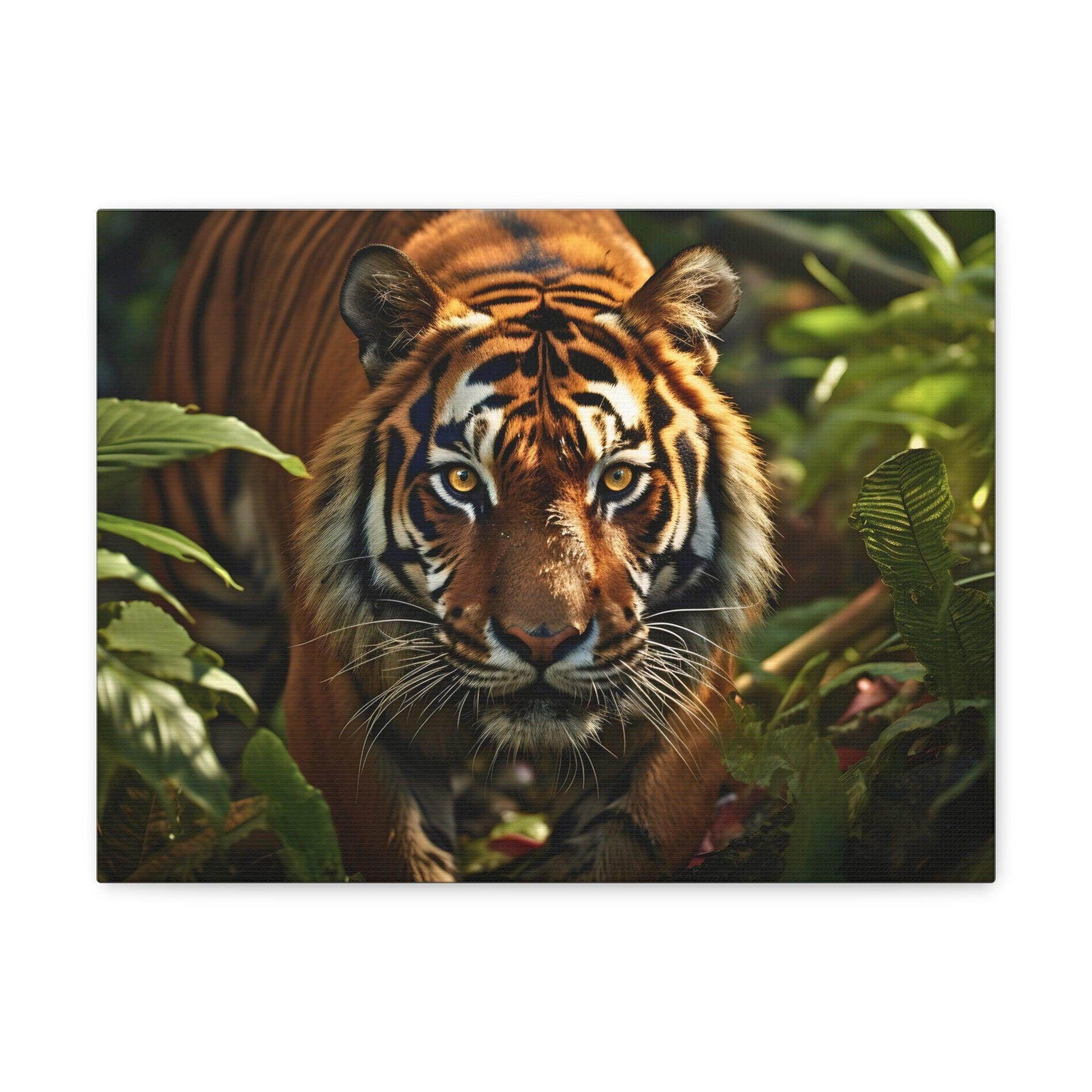 Tiger In Nature Art Canvas Gallery Wraps Tiger Print Large Canvas Art Animal Wall Art minimalist Wall Art Lover Gift - Giftsmojo