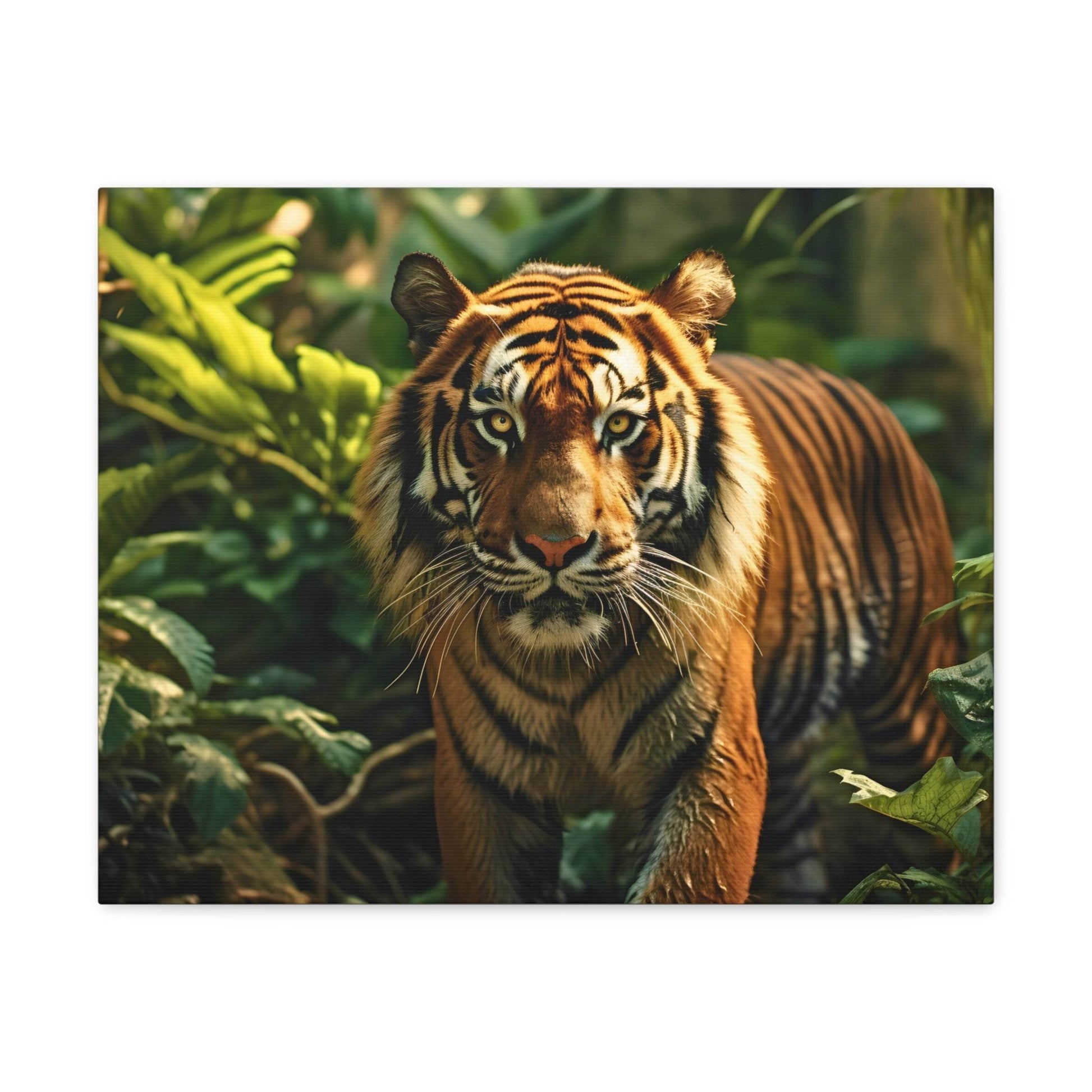 Tiger In Nature Art Canvas Gallery Wraps Tiger Print Large Canvas Art Animal Wall Art minimalist Wall Art Lover Gift - Giftsmojo
