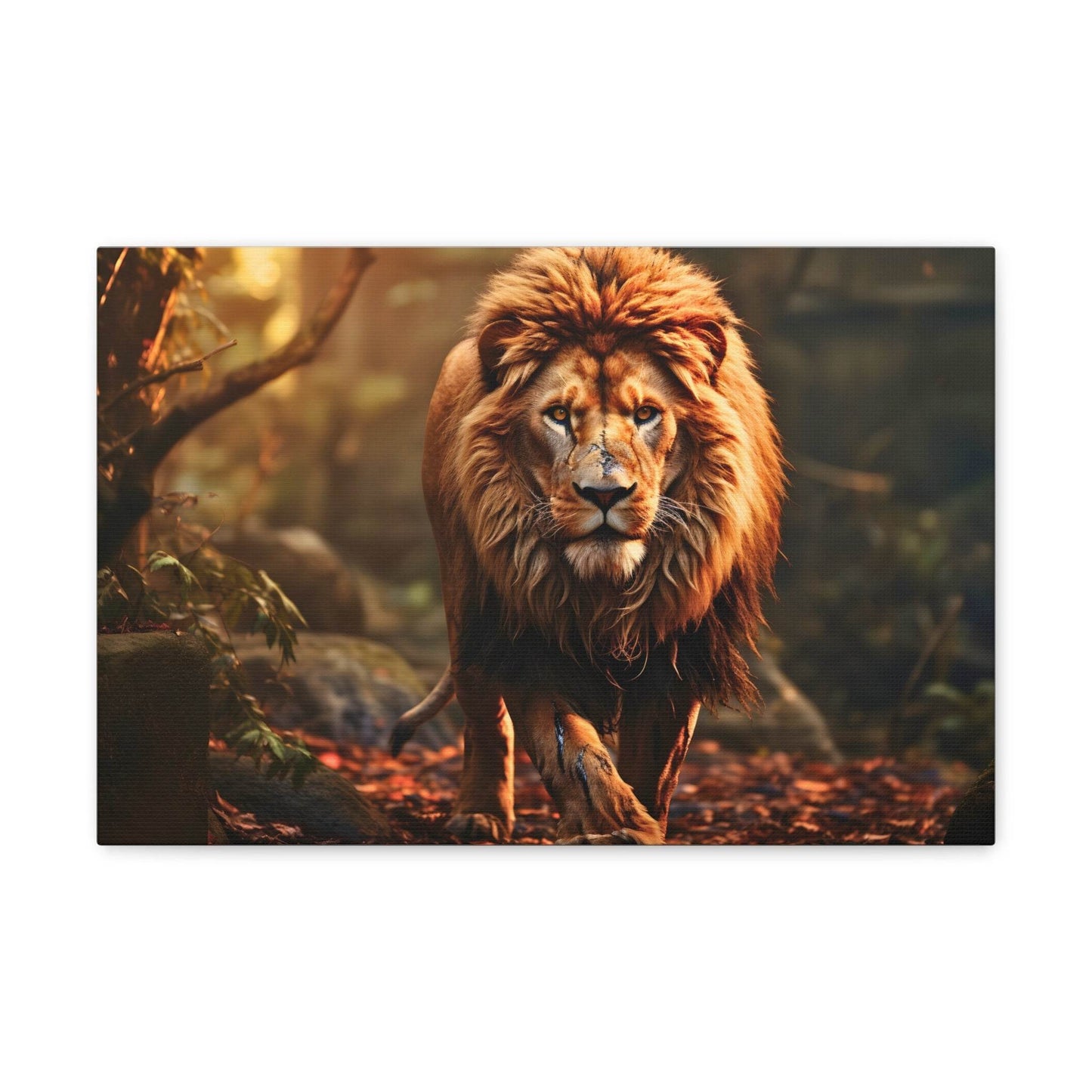 Wounded Lion In Nature Art Canvas Gallery Wraps Lion Print Large Canvas Art Animal Wall Art minimalist Wall Art Lover Gift - Giftsmojo