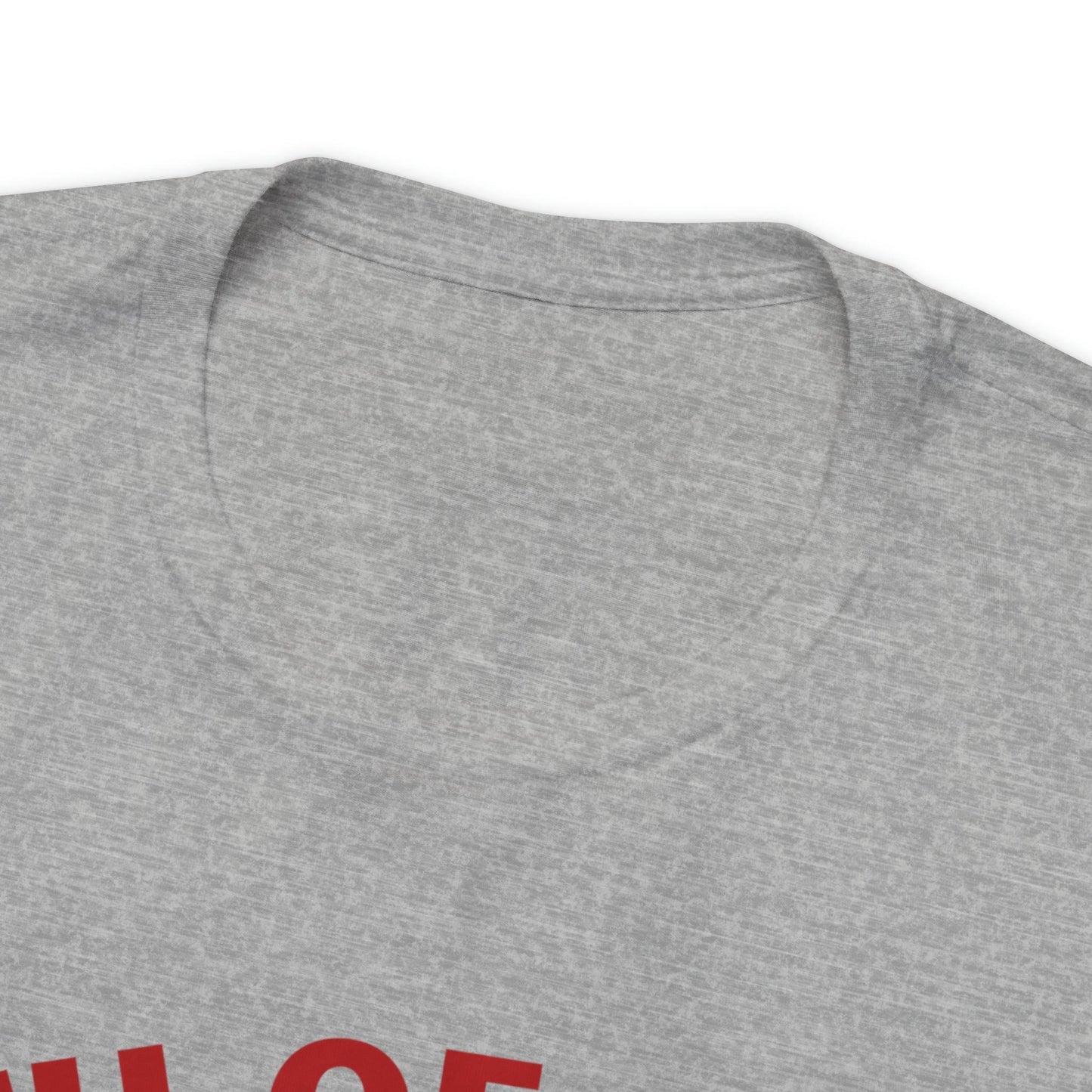 Celebrate Independence Day with Patriotic Shirts: Land of the free Shirts for Women and Men