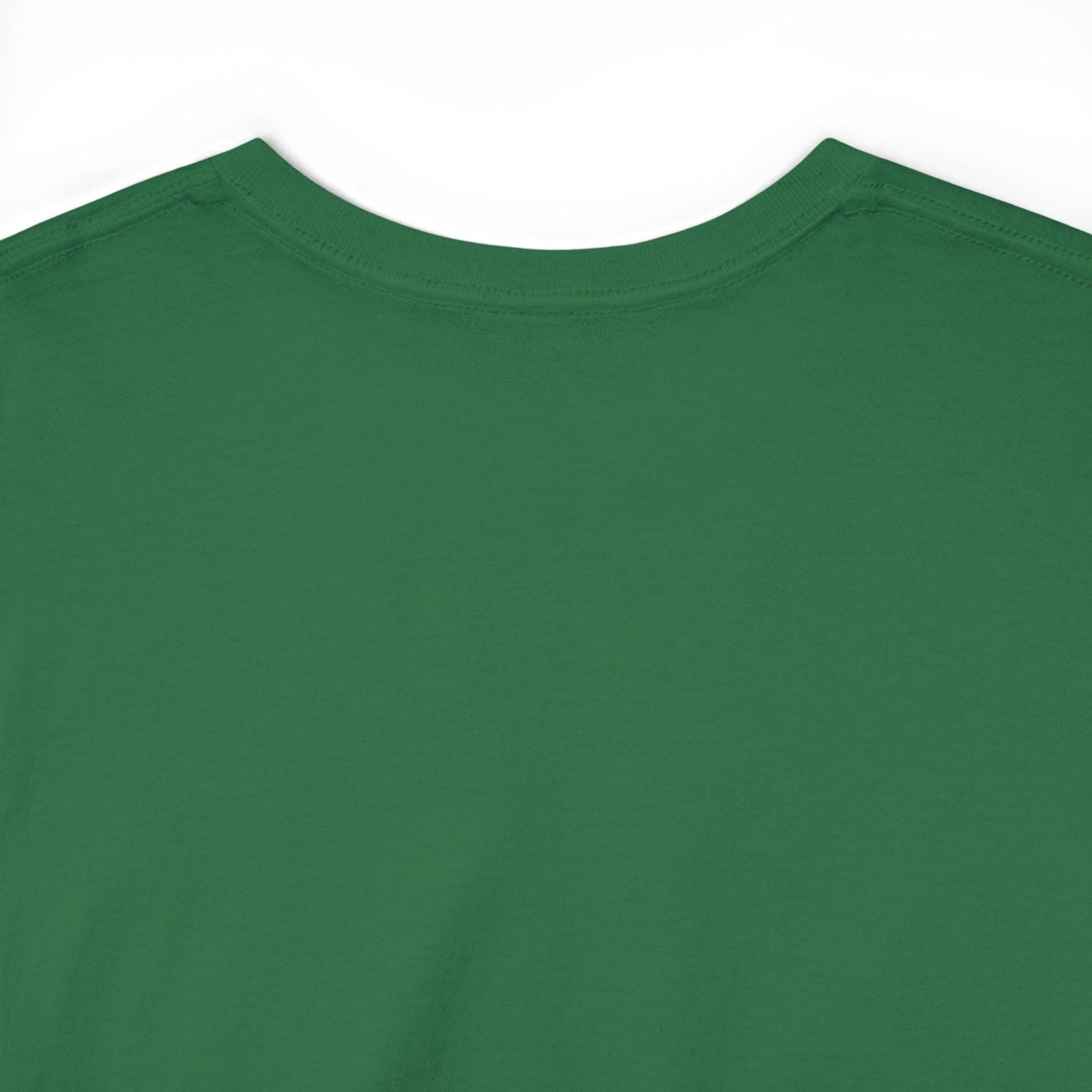 I bring Joy to the World at Christmas Shirt, Christmas Tee Christmas outfit, Christmas gifts