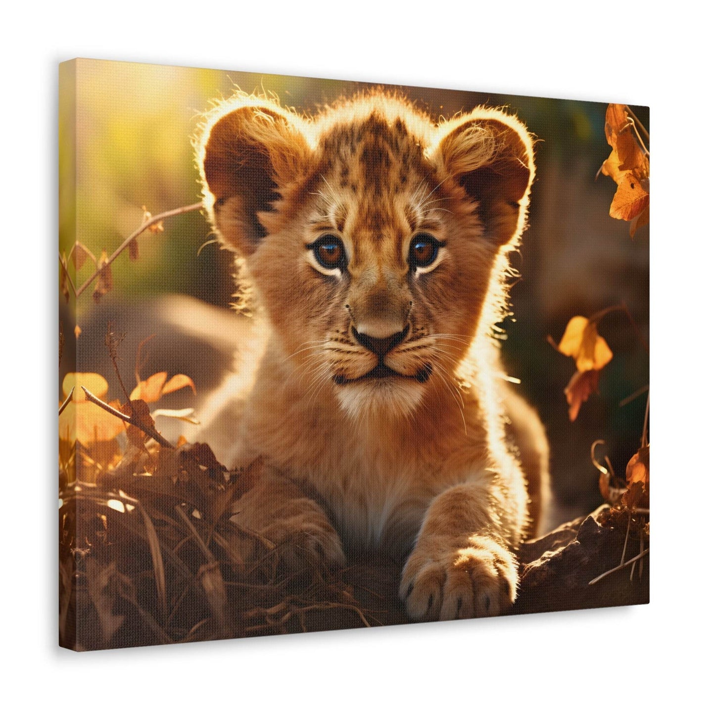 Baby Lion Cub Print Animal Nature Art Safari Nursery Canvas Gallery Wraps Baby Lion Print Large Canvas Art Animal Wall Art Lover Gift - Giftsmojo