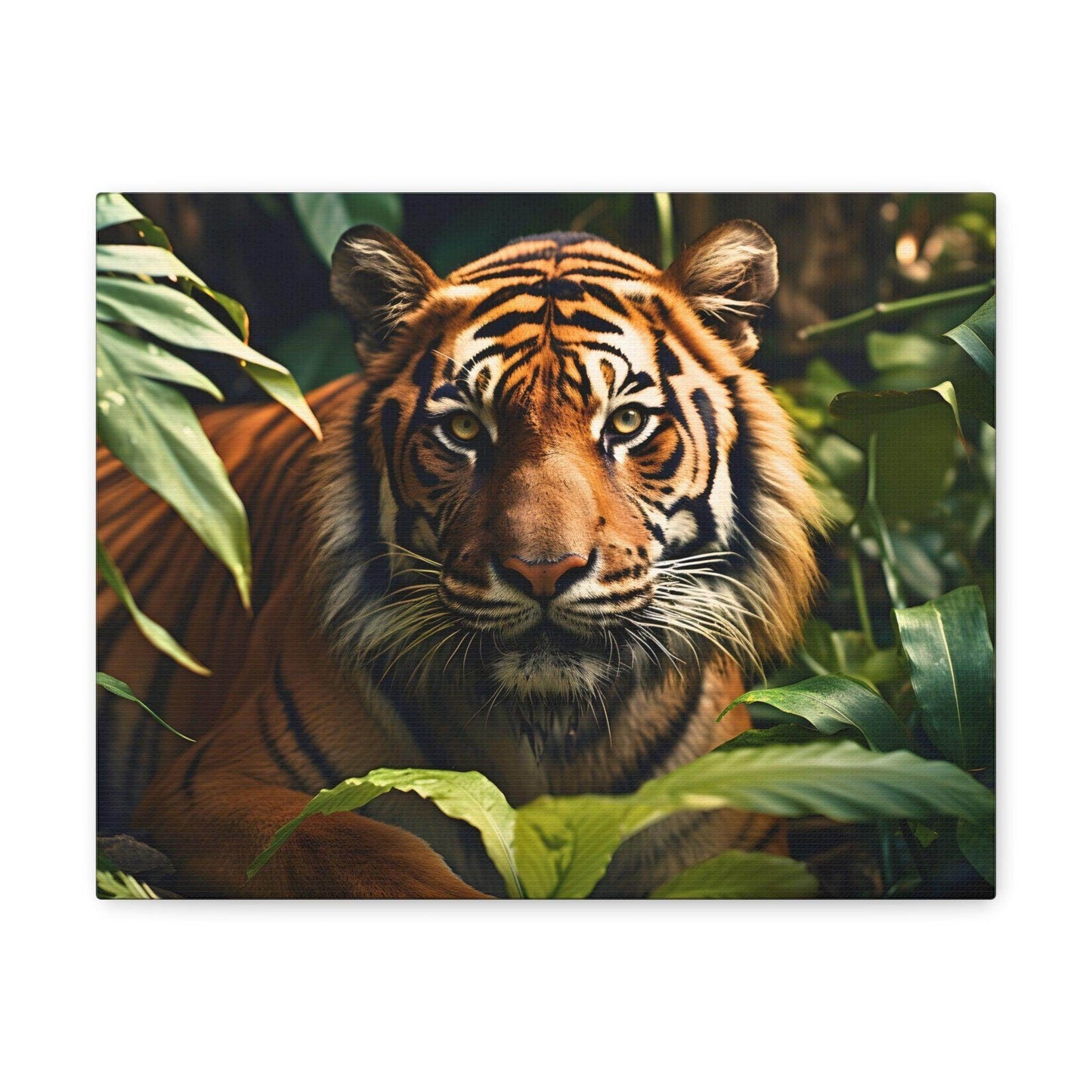 Tiger In Nature Art Canvas Gallery Wraps Tiger Print Large Canvas Art Animal Wall Art minimalist Wall Art Lover Gift - Giftsmojo
