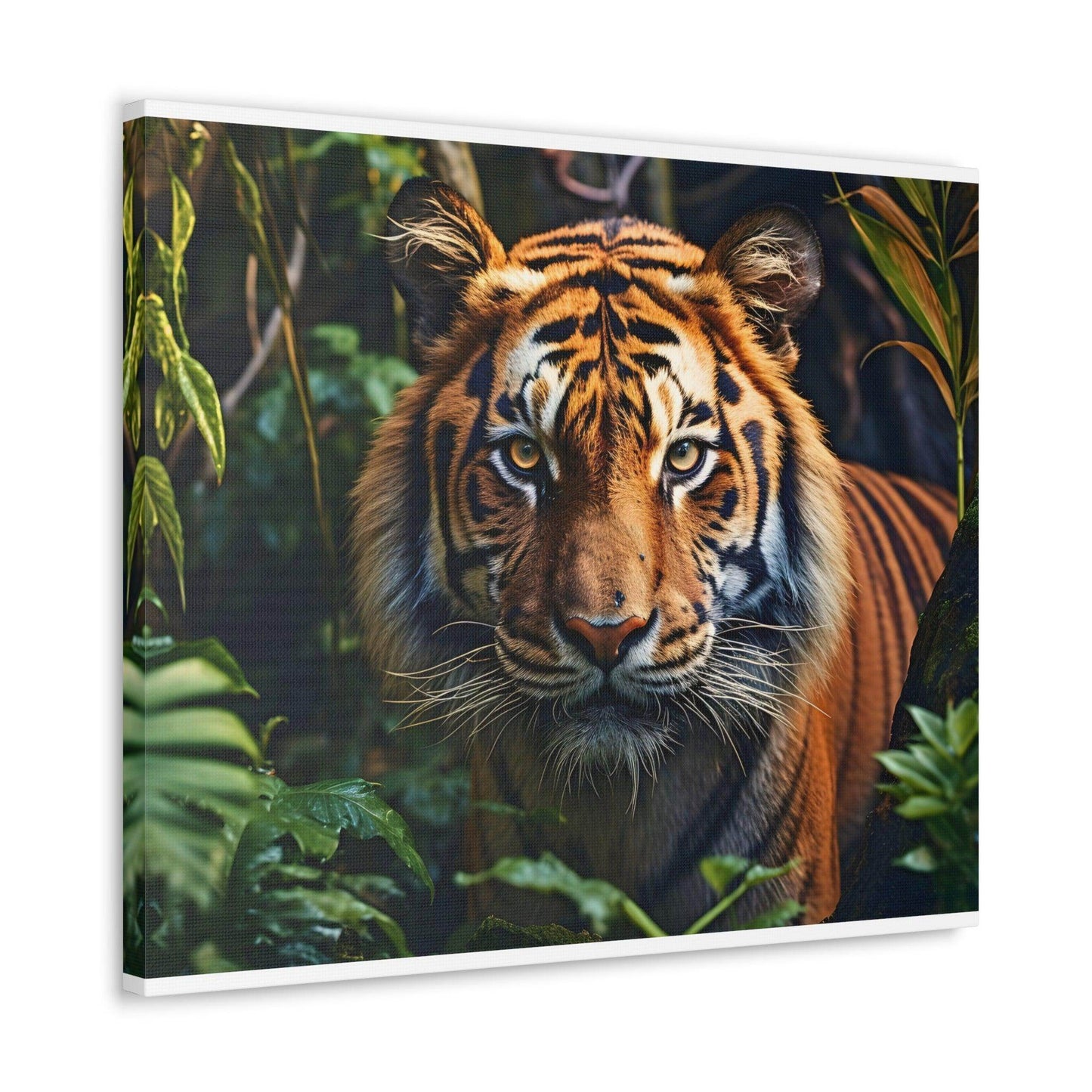 Tiger In Nature Art Canvas Gallery Wraps Tiger Print Large Canvas Art Animal Wall Art minimalist Wall Art Lover Gift - Giftsmojo