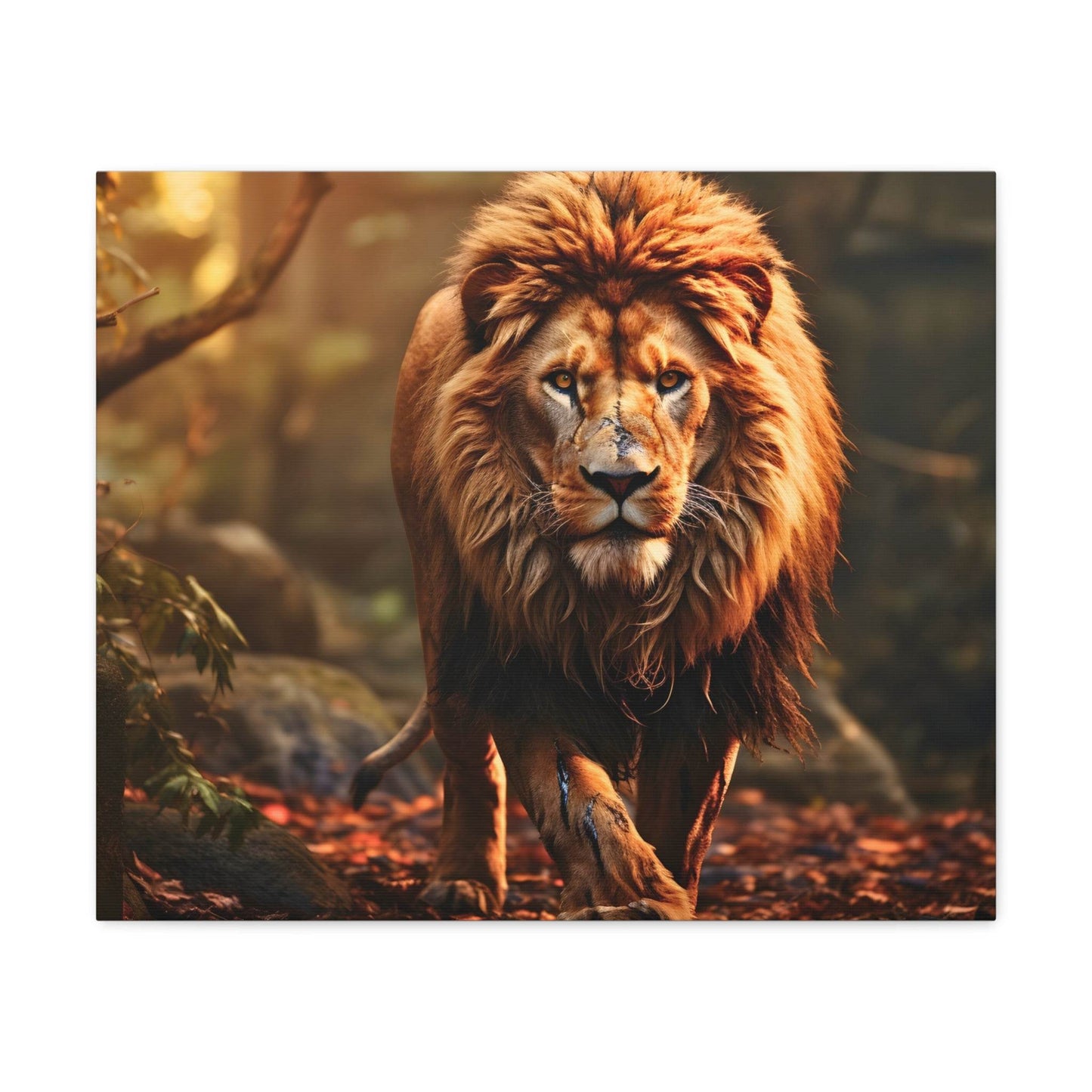 Wounded Lion In Nature Art Canvas Gallery Wraps Lion Print Large Canvas Art Animal Wall Art minimalist Wall Art Lover Gift - Giftsmojo