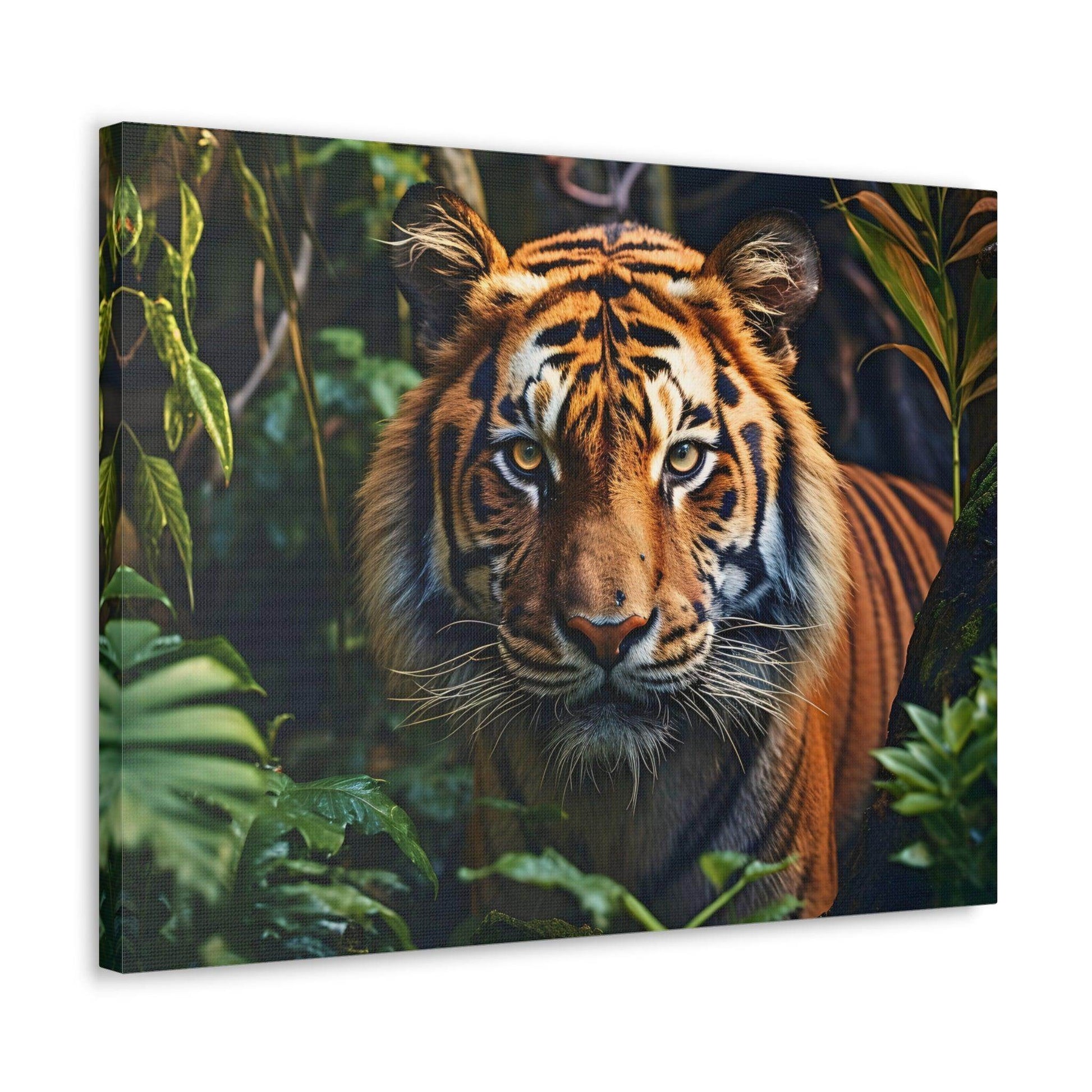 Tiger In Nature Art Canvas Gallery Wraps Tiger Print Large Canvas Art Animal Wall Art minimalist Wall Art Lover Gift - Giftsmojo