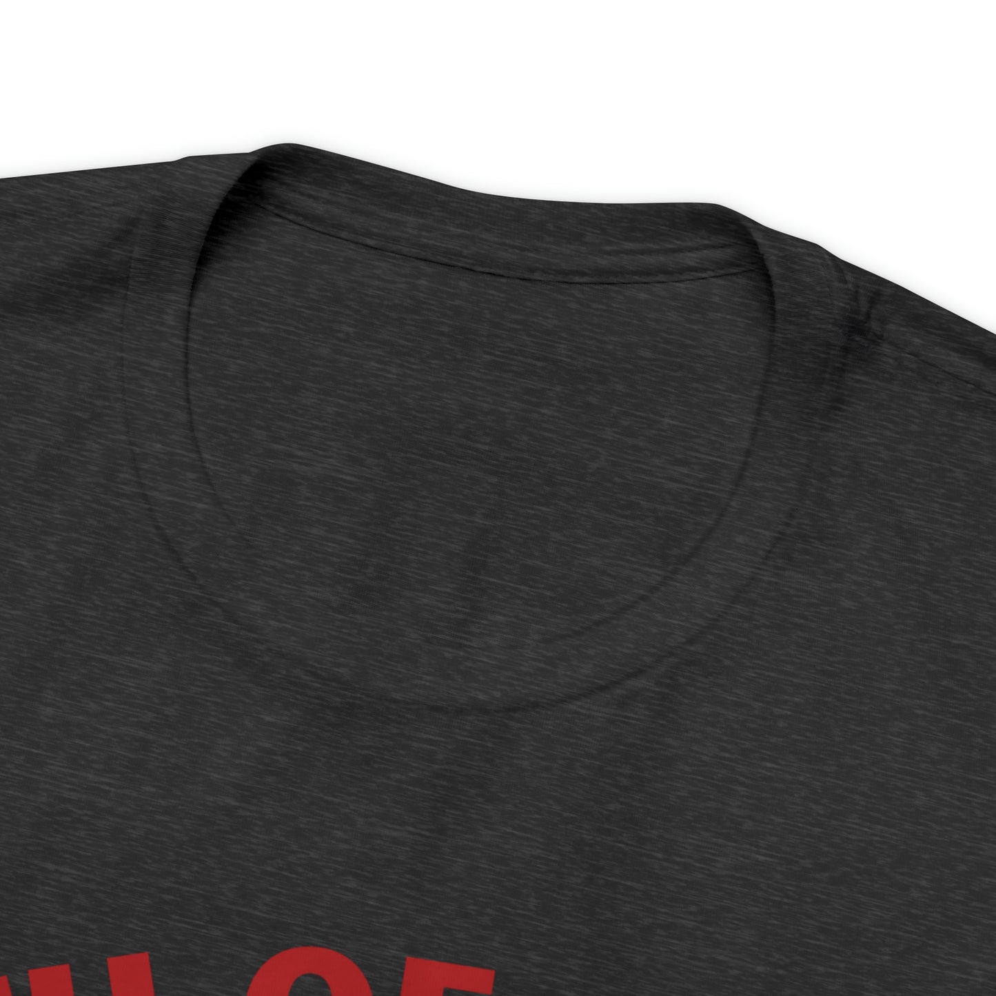 Celebrate Independence Day with Patriotic Shirts: Land of the free Shirts for Women and Men
