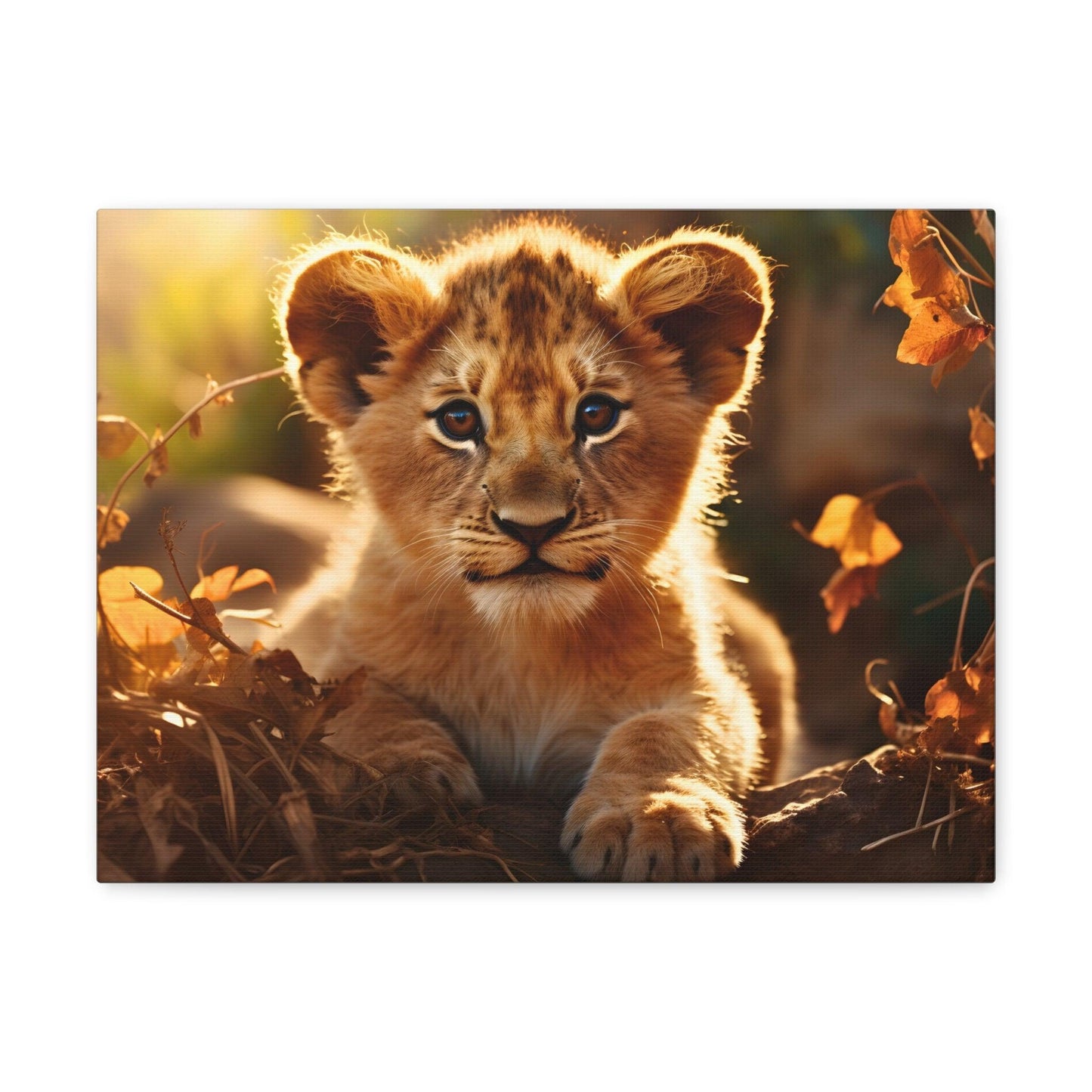 Baby Lion Cub Print Animal Nature Art Safari Nursery Canvas Gallery Wraps Baby Lion Print Large Canvas Art Animal Wall Art Lover Gift