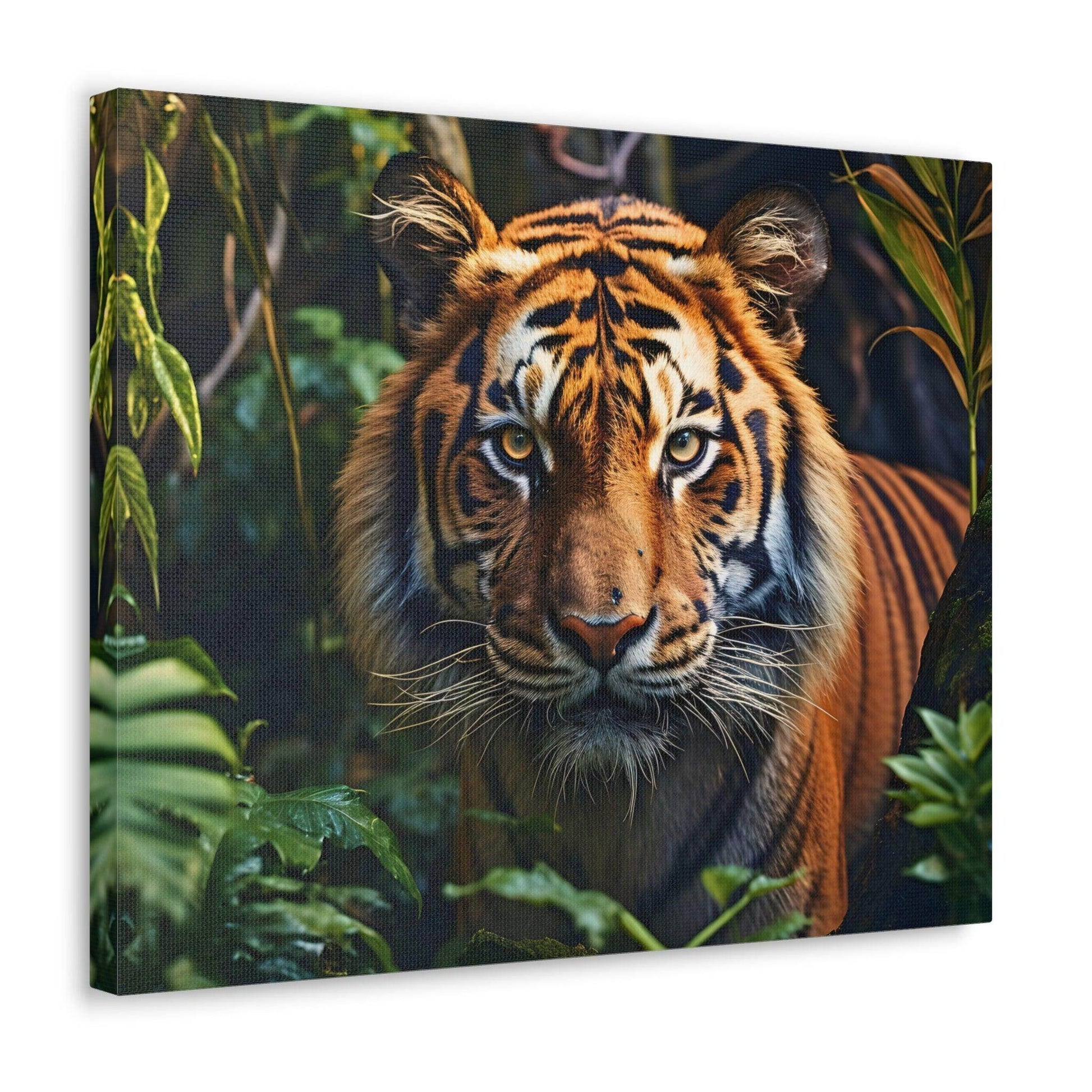Tiger In Nature Art Canvas Gallery Wraps Tiger Print Large Canvas Art Animal Wall Art minimalist Wall Art Lover Gift - Giftsmojo