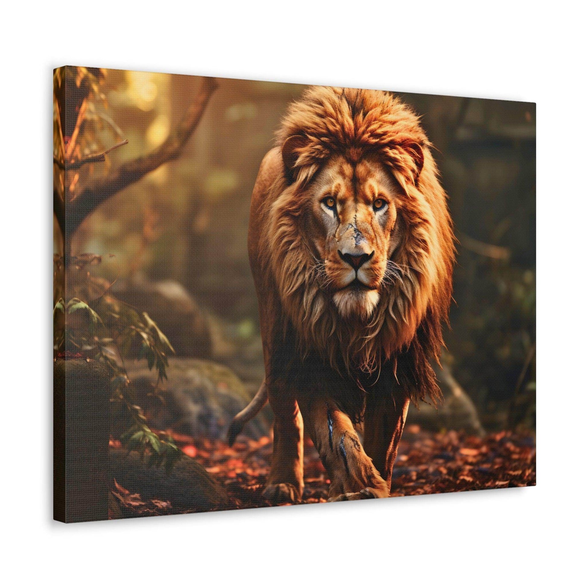 Wounded Lion In Nature Art Canvas Gallery Wraps Lion Print Large Canvas Art Animal Wall Art minimalist Wall Art Lover Gift - Giftsmojo
