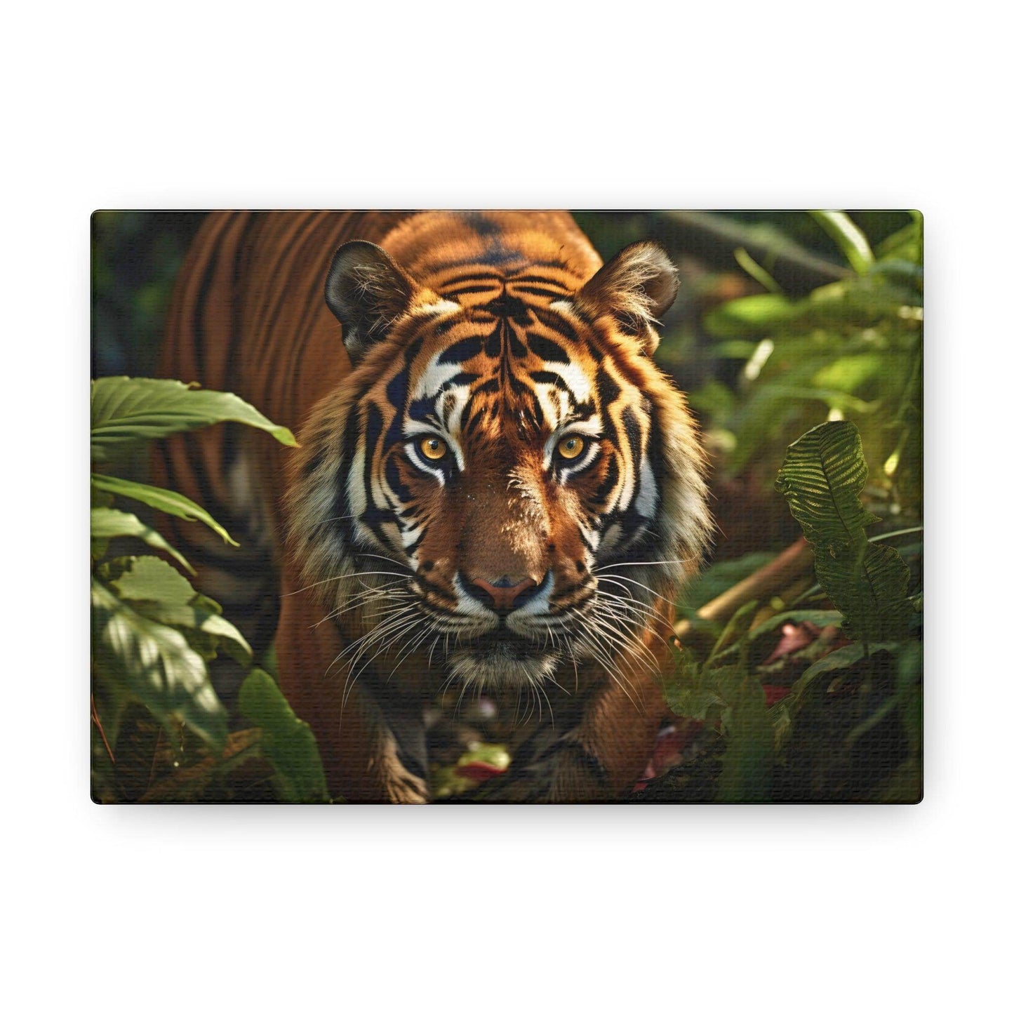 Tiger In Nature Art Canvas Gallery Wraps Tiger Print Large Canvas Art Animal Wall Art minimalist Wall Art Lover Gift - Giftsmojo