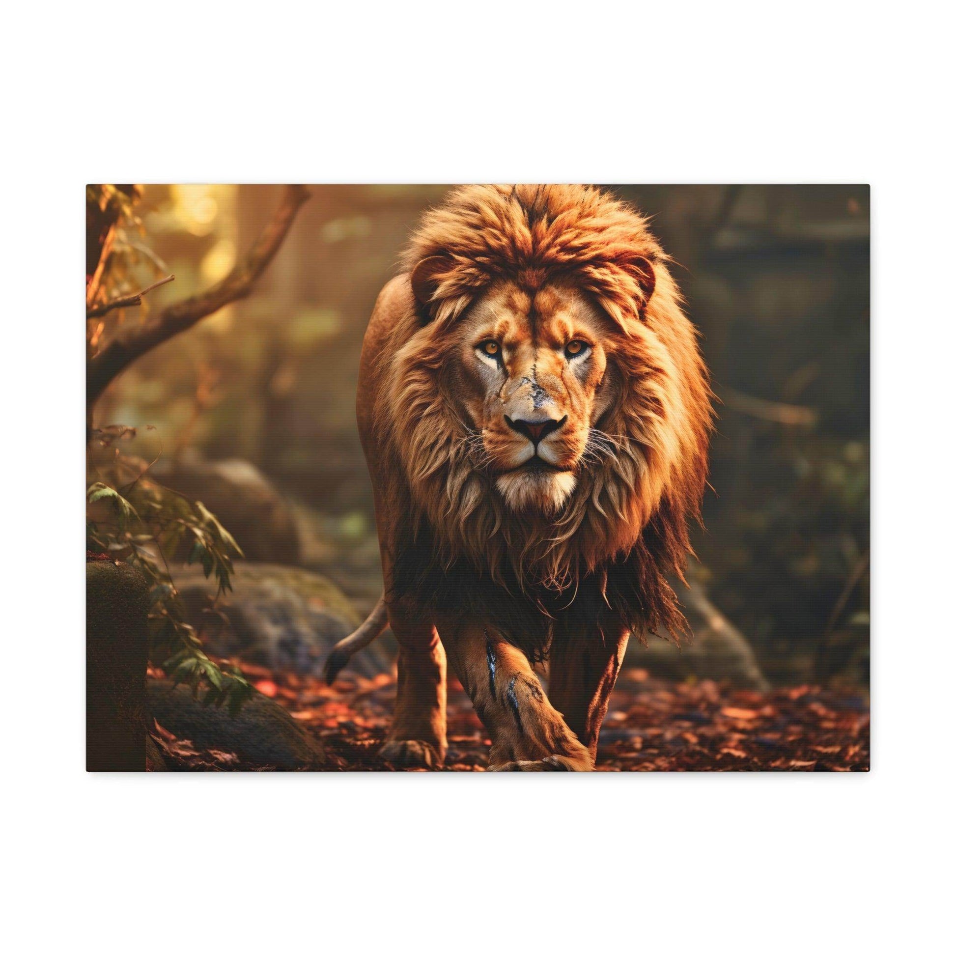 Wounded Lion In Nature Art Canvas Gallery Wraps Lion Print Large Canvas Art Animal Wall Art minimalist Wall Art Lover Gift - Giftsmojo