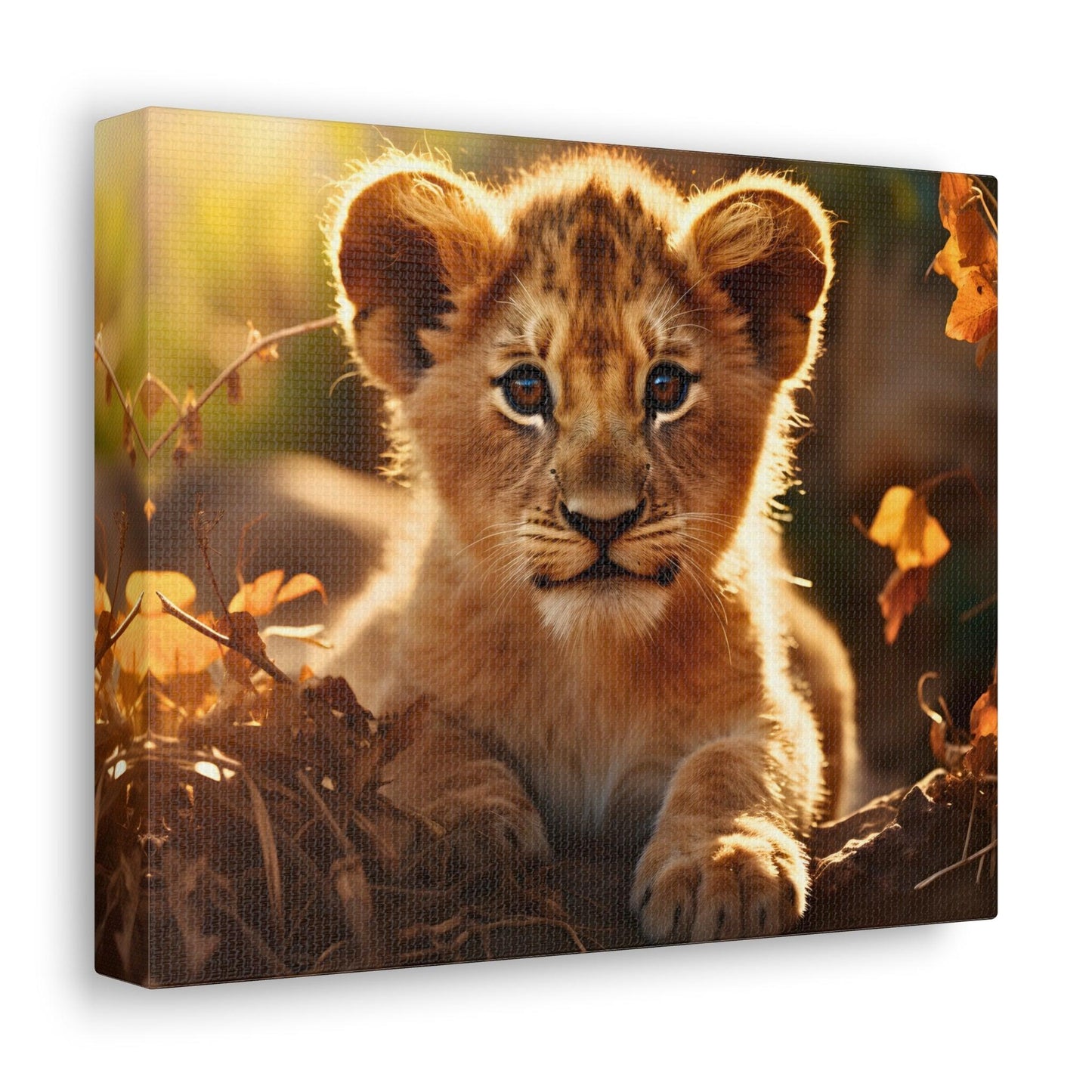 Baby Lion Cub Print Animal Nature Art Safari Nursery Canvas Gallery Wraps Baby Lion Print Large Canvas Art Animal Wall Art Lover Gift