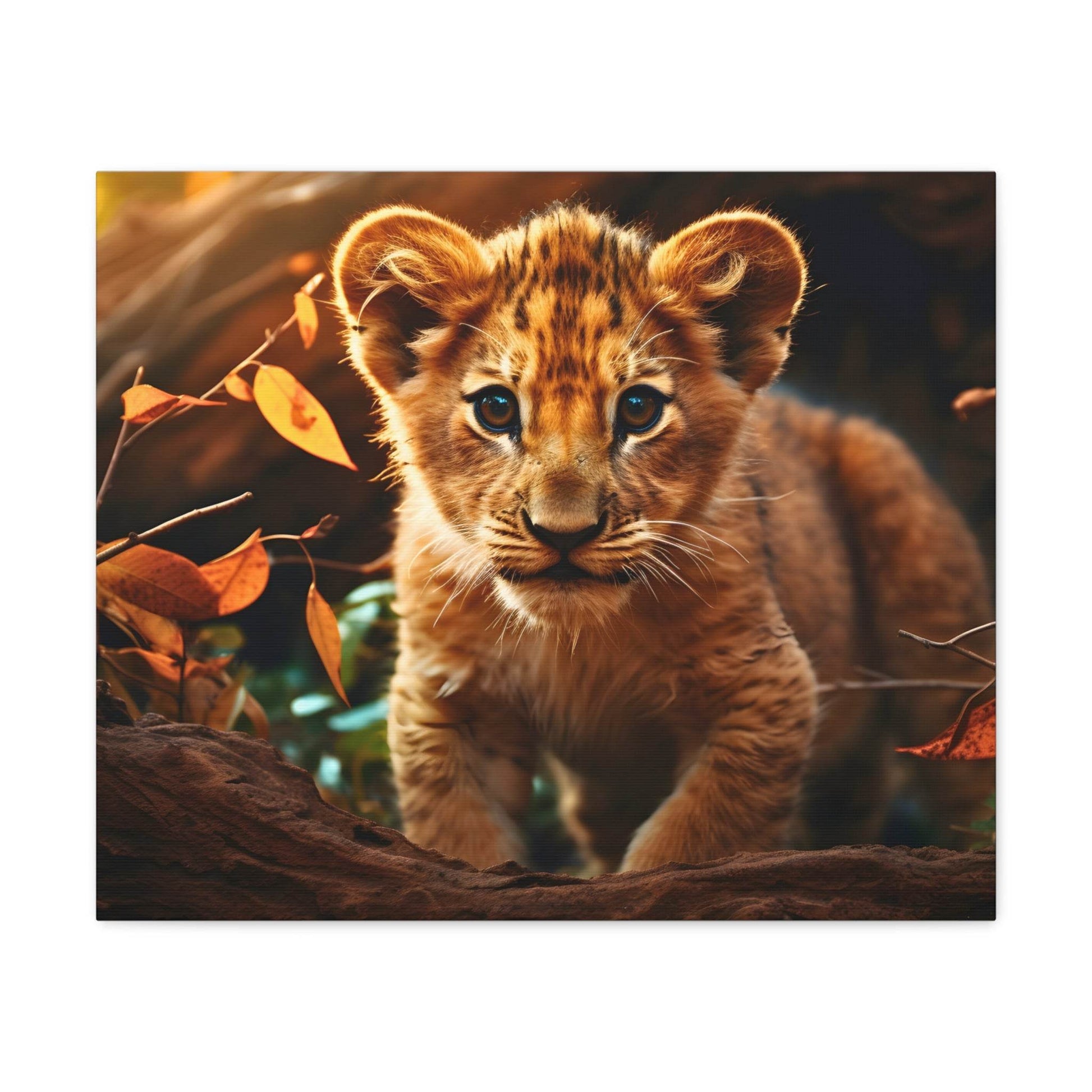 Baby Lion Cub Print Animal Nature Art Safari Nursery Canvas Gallery Wraps Baby Lion Print Large Canvas Art Animal Wall Art Lover Gift - Giftsmojo