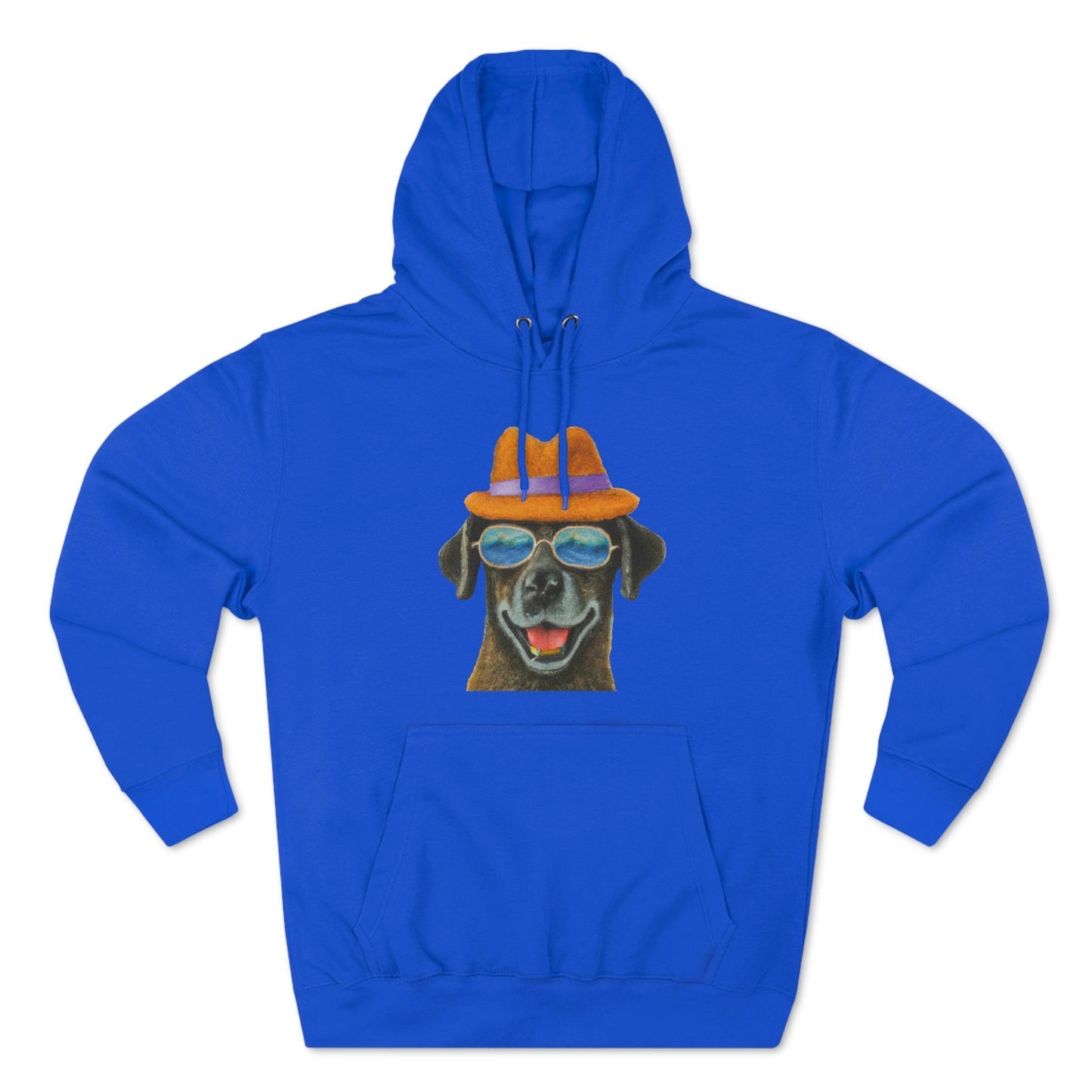Dog at the beach wearing a hat and sunglasses painted arts Premium Pullover Hoodie