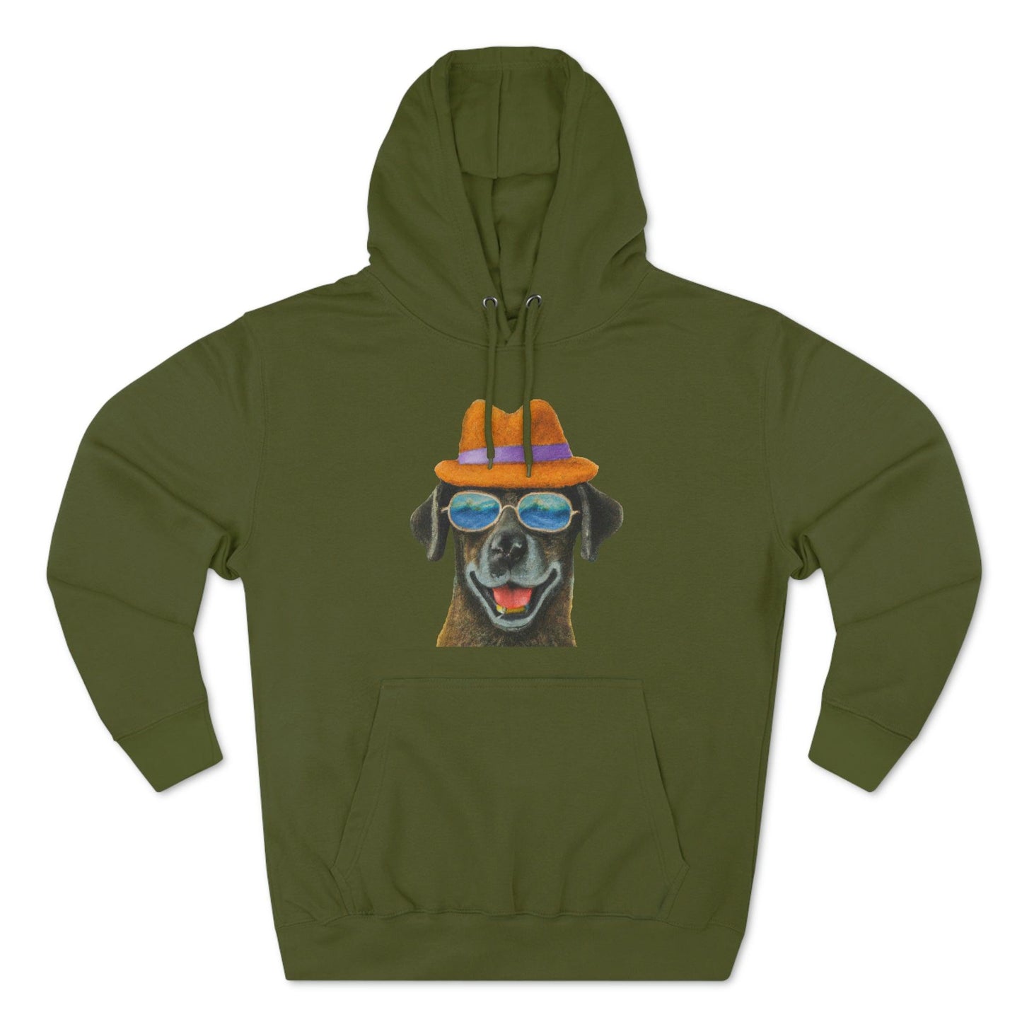 Dog at the beach wearing a hat and sunglasses painted arts Premium Pullover Hoodie