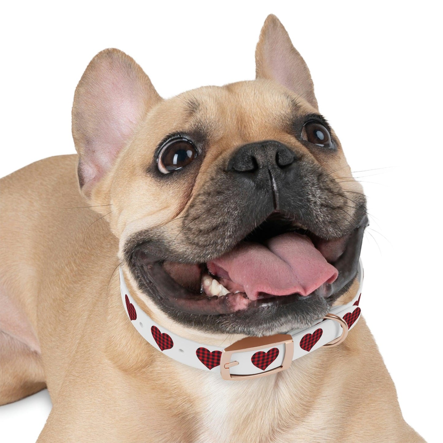 Dog Collar - Giftsmojo