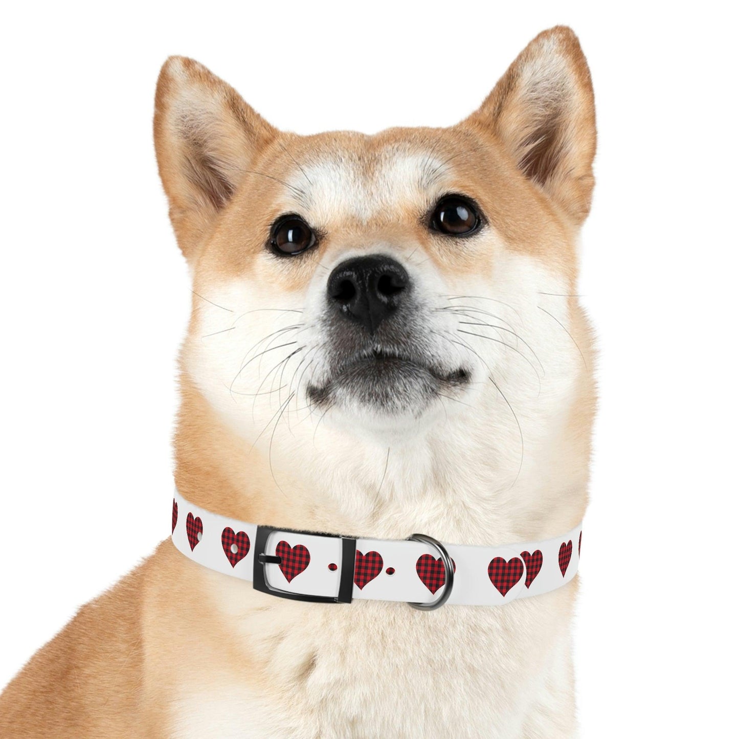 Dog Collar - Giftsmojo