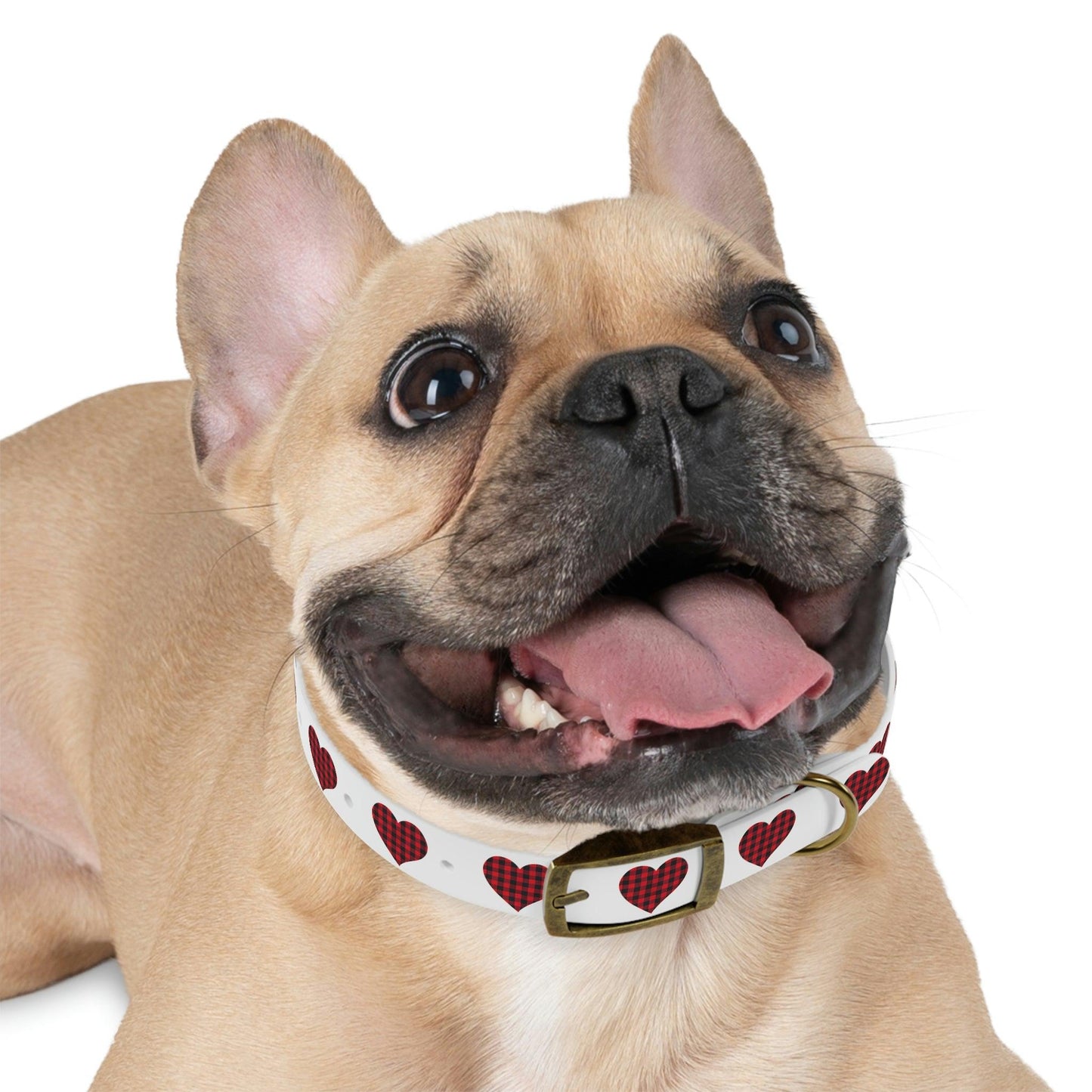 Dog Collar - Giftsmojo