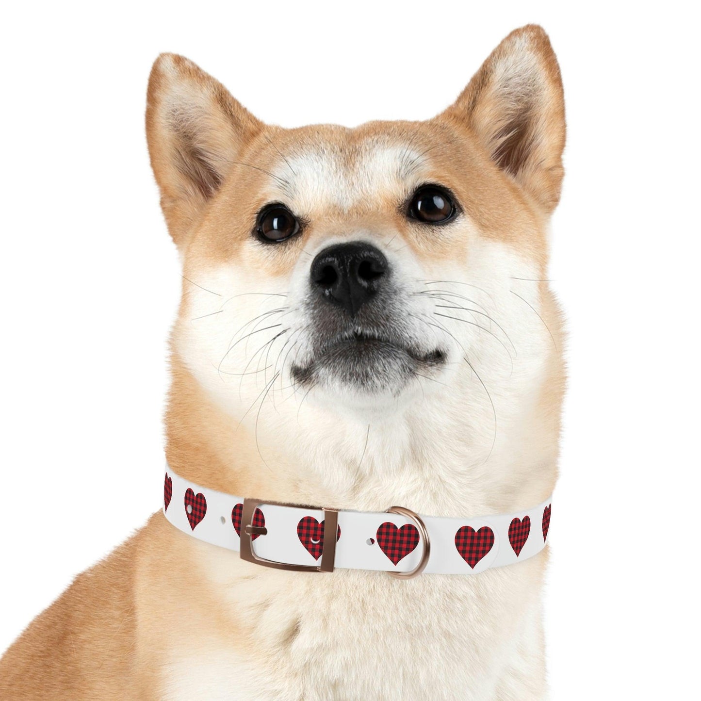 Dog Collar - Giftsmojo