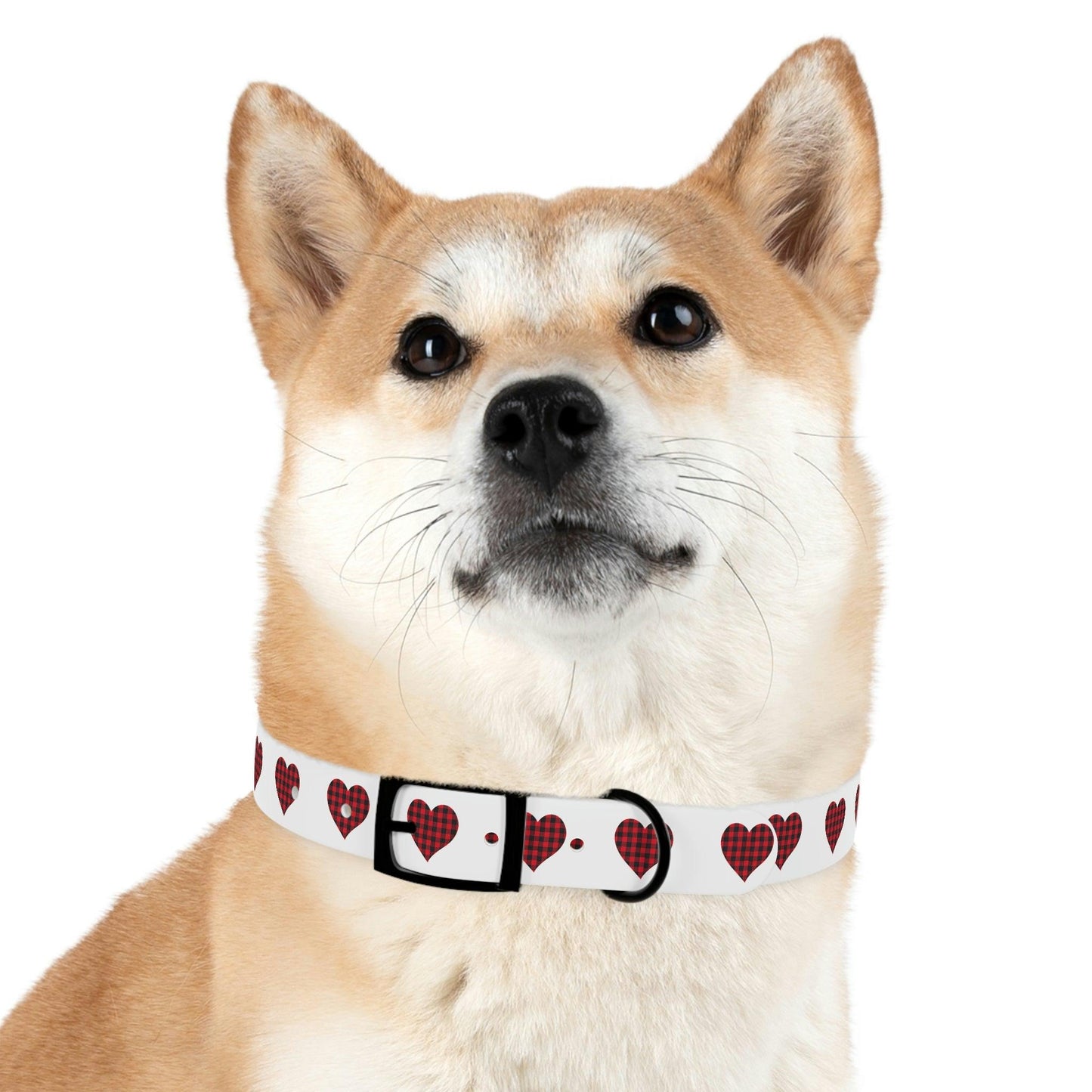 Dog Collar - Giftsmojo