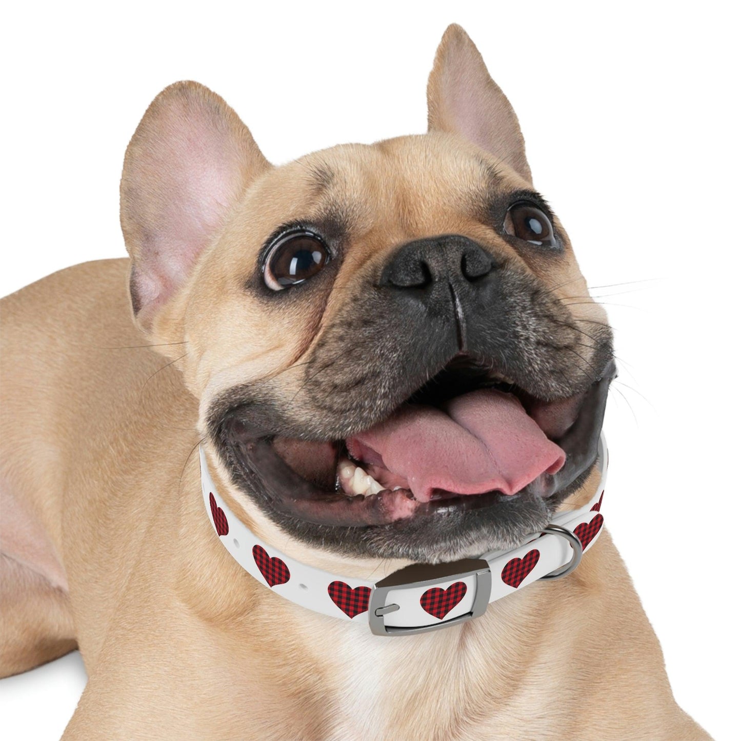Dog Collar - Giftsmojo