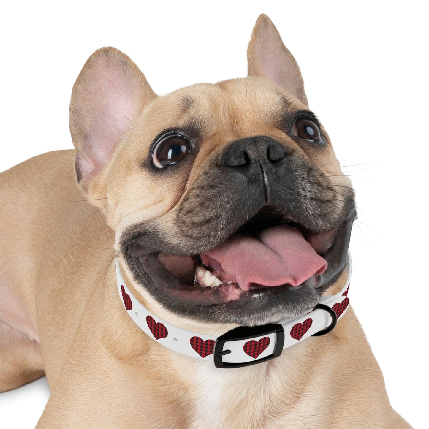 Dog Collar - Giftsmojo