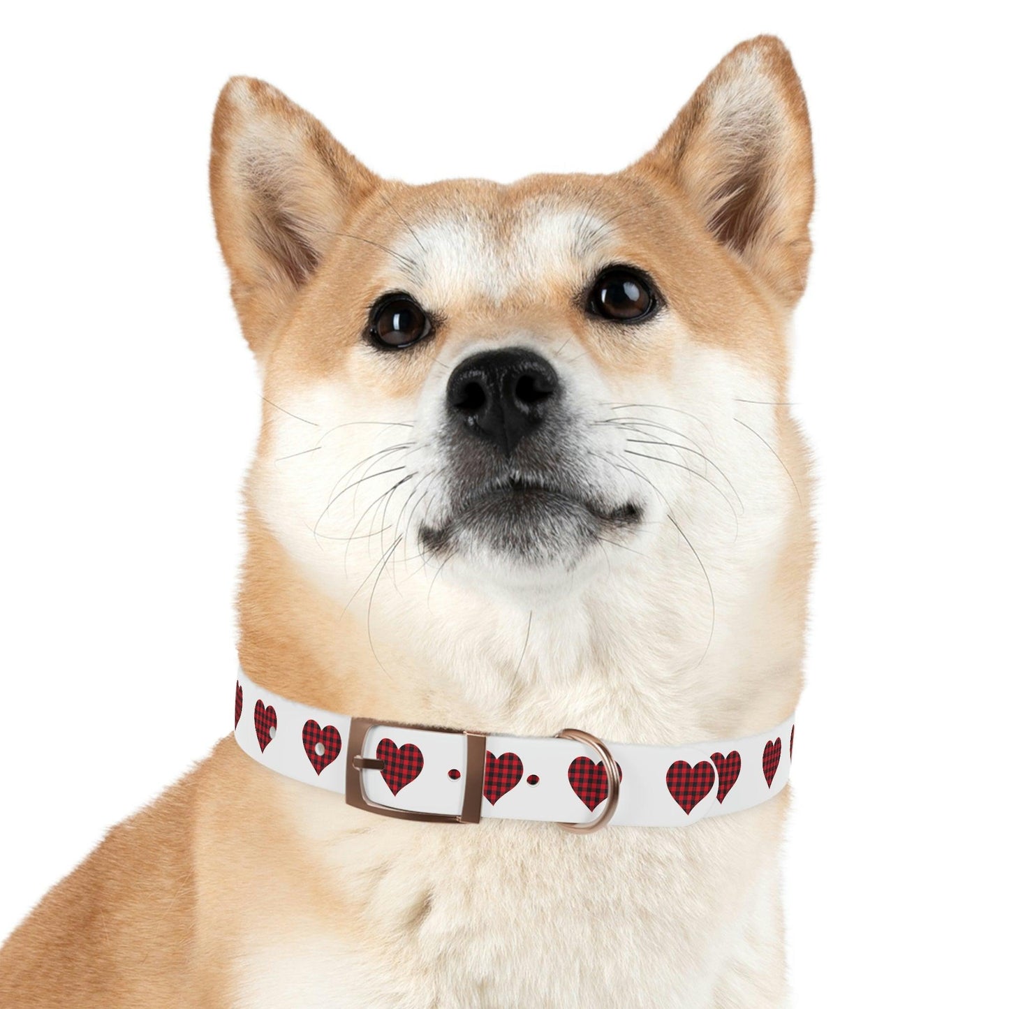 Dog Collar - Giftsmojo