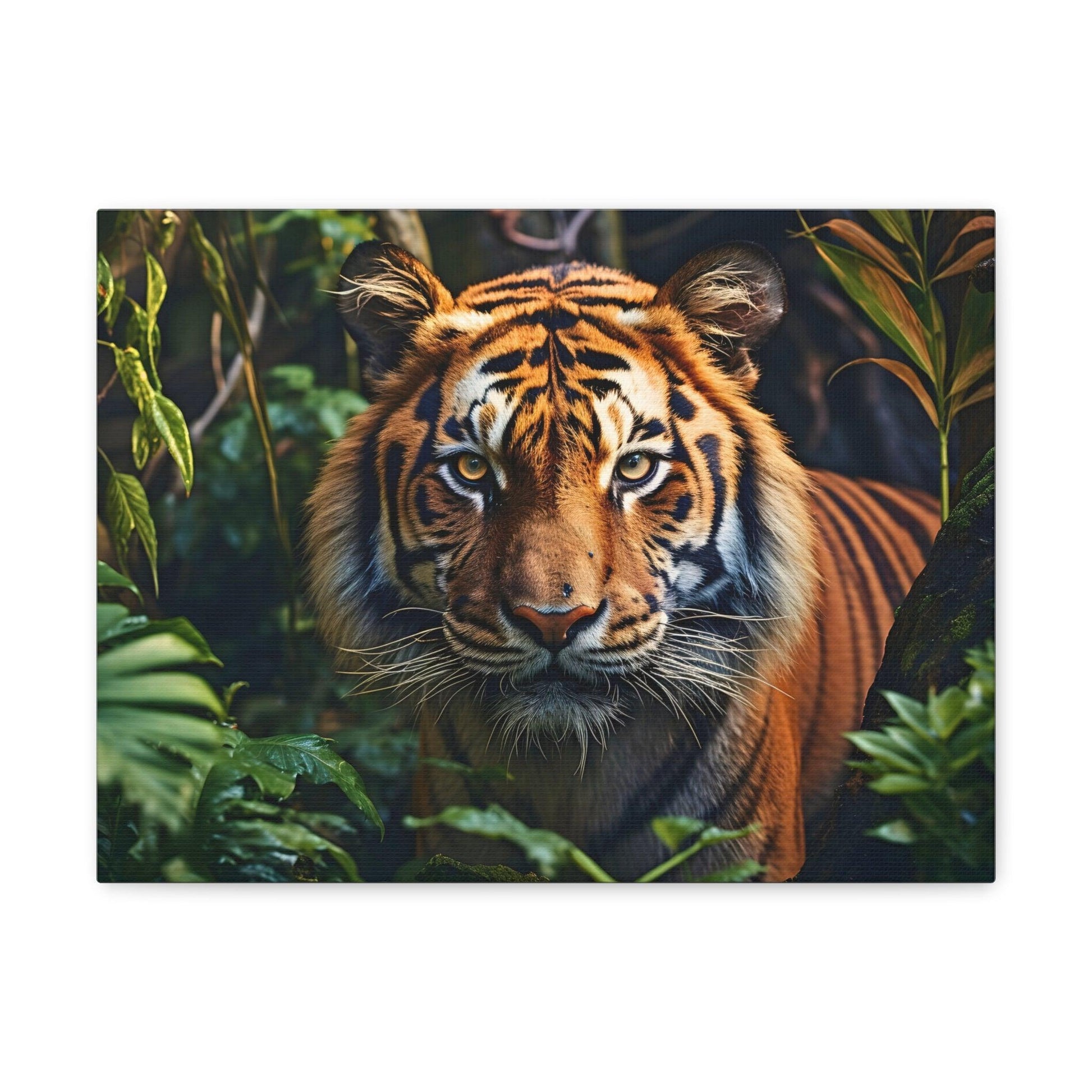 Tiger In Nature Art Canvas Gallery Wraps Tiger Print Large Canvas Art Animal Wall Art minimalist Wall Art Lover Gift - Giftsmojo