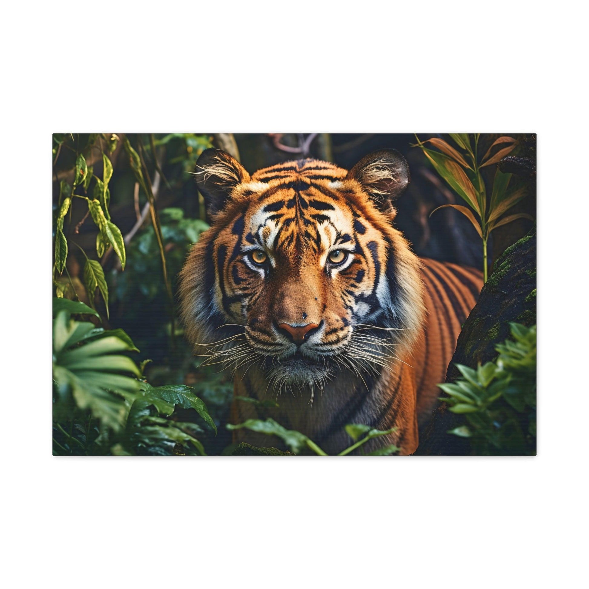 Tiger In Nature Art Canvas Gallery Wraps Tiger Print Large Canvas Art Animal Wall Art minimalist Wall Art Lover Gift - Giftsmojo