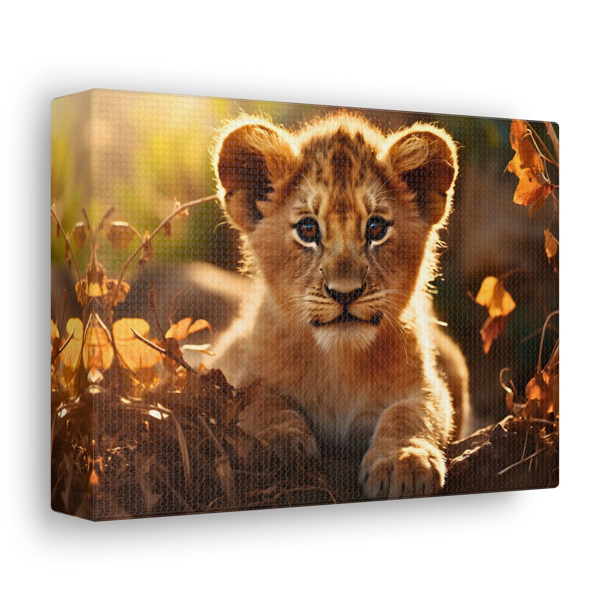 Baby Lion Cub Print Animal Nature Art Safari Nursery Canvas Gallery Wraps Baby Lion Print Large Canvas Art Animal Wall Art Lover Gift - Giftsmojo