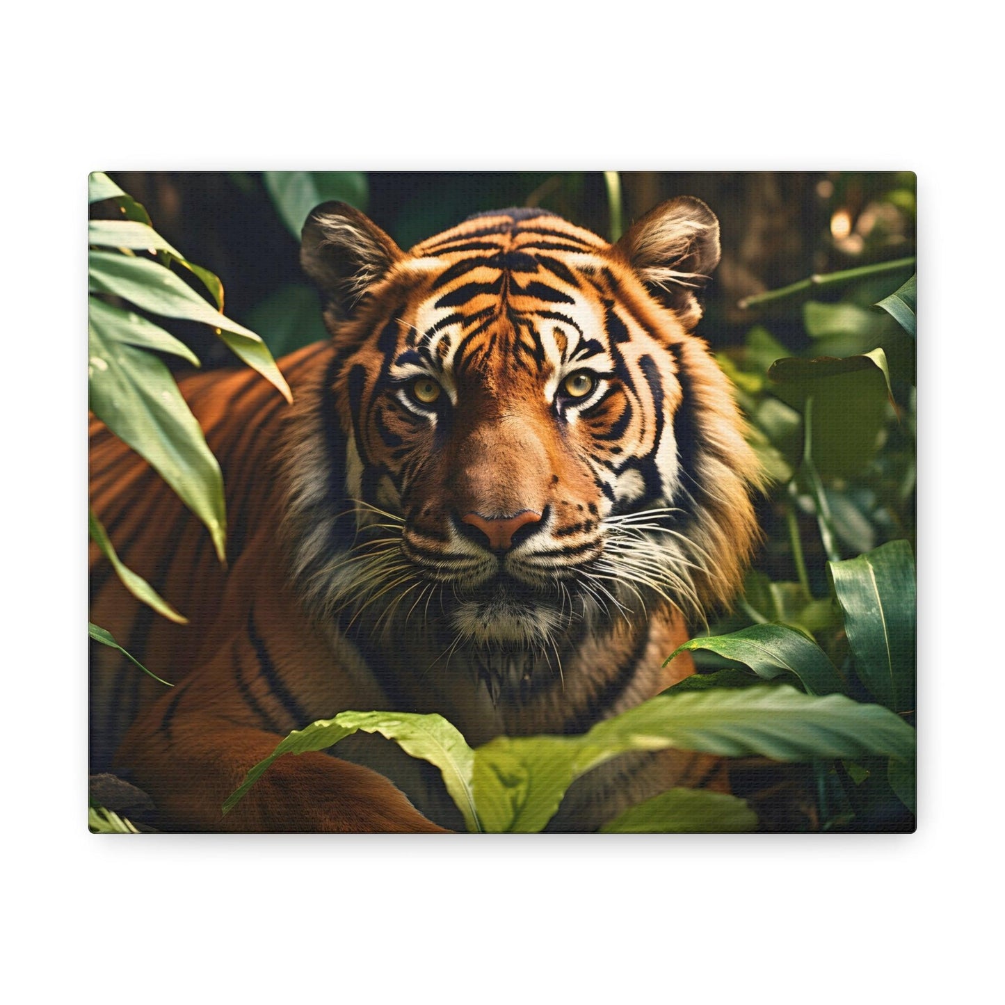 Tiger In Nature Art Canvas Gallery Wraps Tiger Print Large Canvas Art Animal Wall Art minimalist Wall Art Lover Gift - Giftsmojo