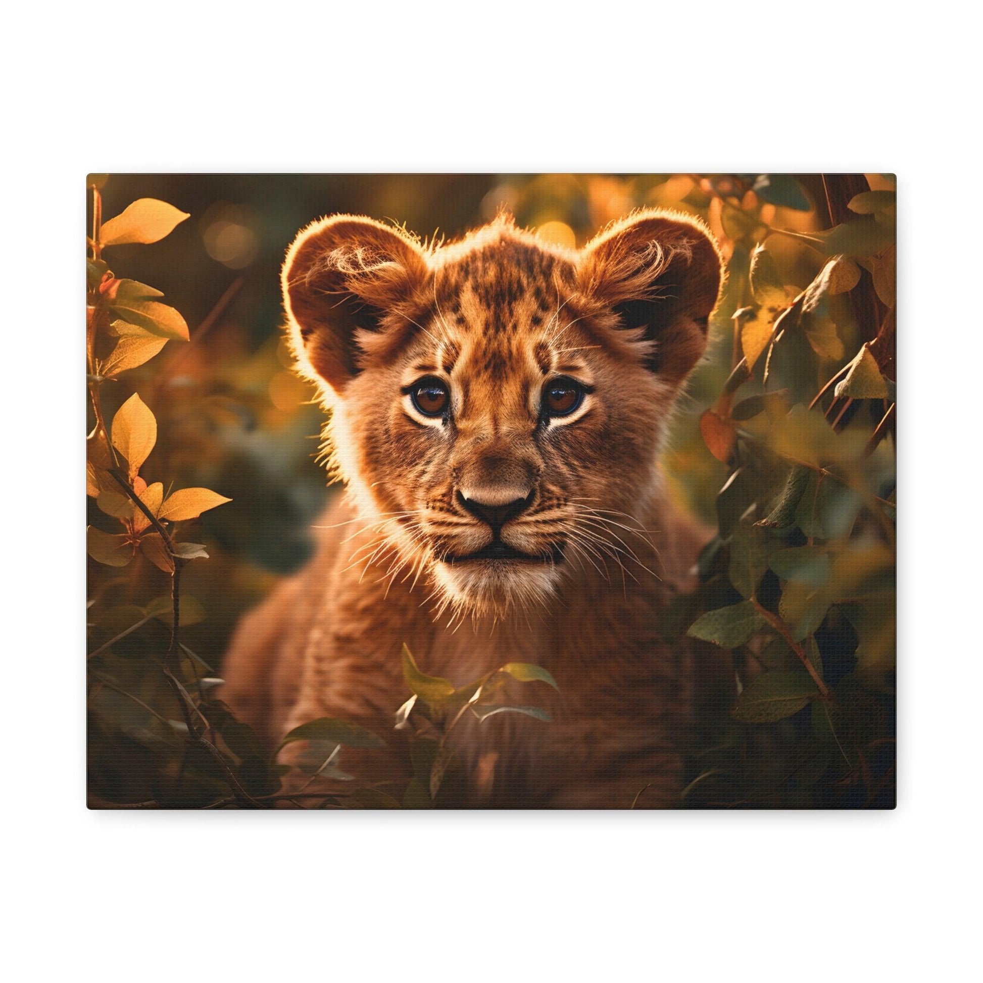 Baby Lion Cub Print Animal Nature Art Safari Nursery Canvas Gallery Wraps Baby Lion Print Large Canvas Art Animal Wall Art Lover Gift - Giftsmojo